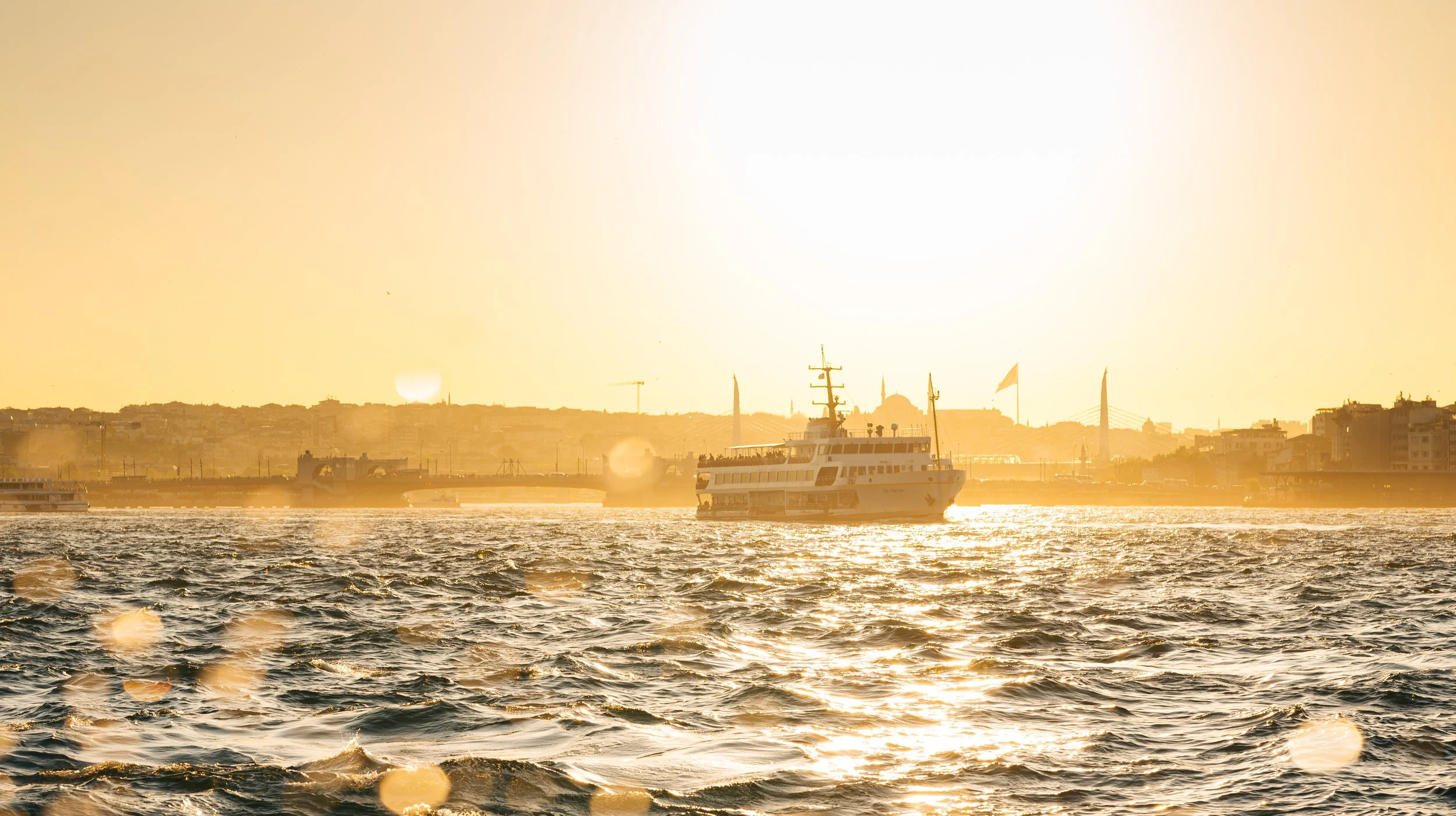 DSC_3905-2.jpg