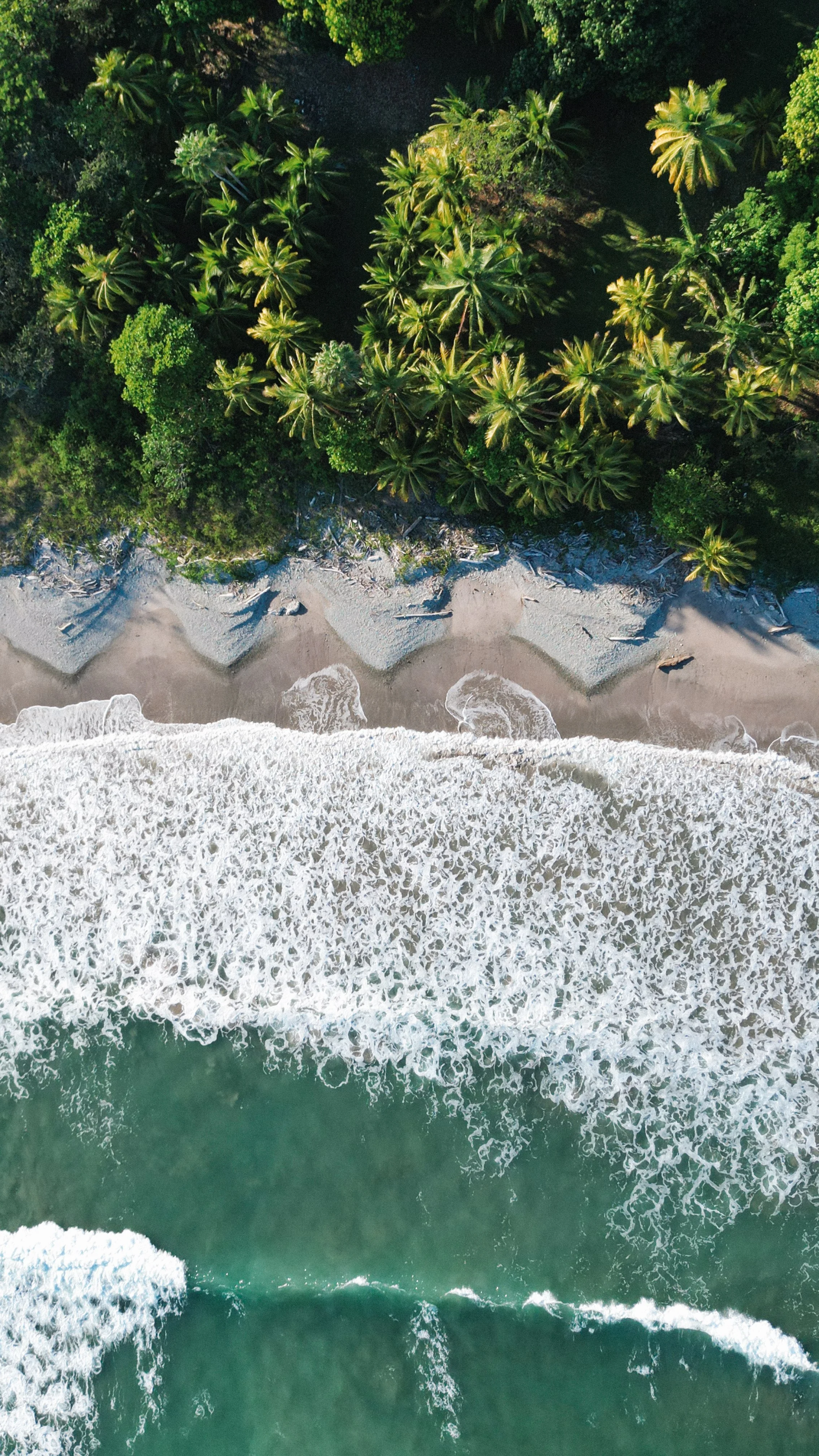 An aerial view of a tropical beach with green palm trees and dense foliage on the land, sandy shoreline, and waves crashing onto the beach from the ocean.