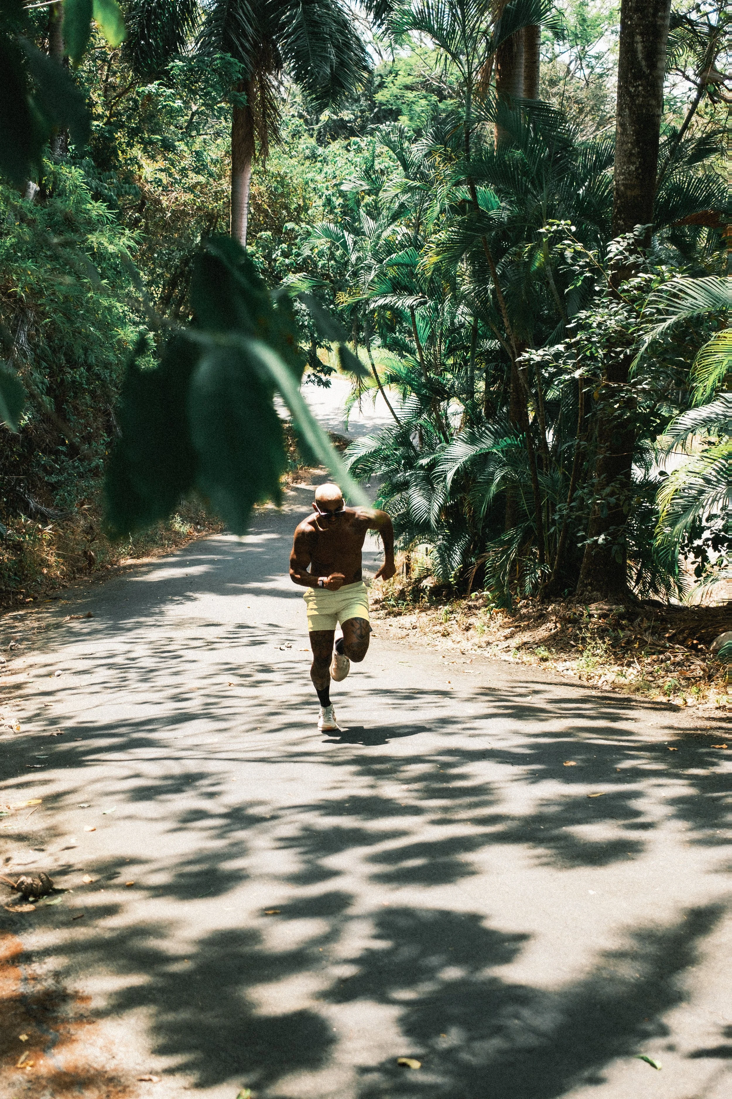 A man jogging on a shaded forest trail surrounded by lush green tropical trees and plants.