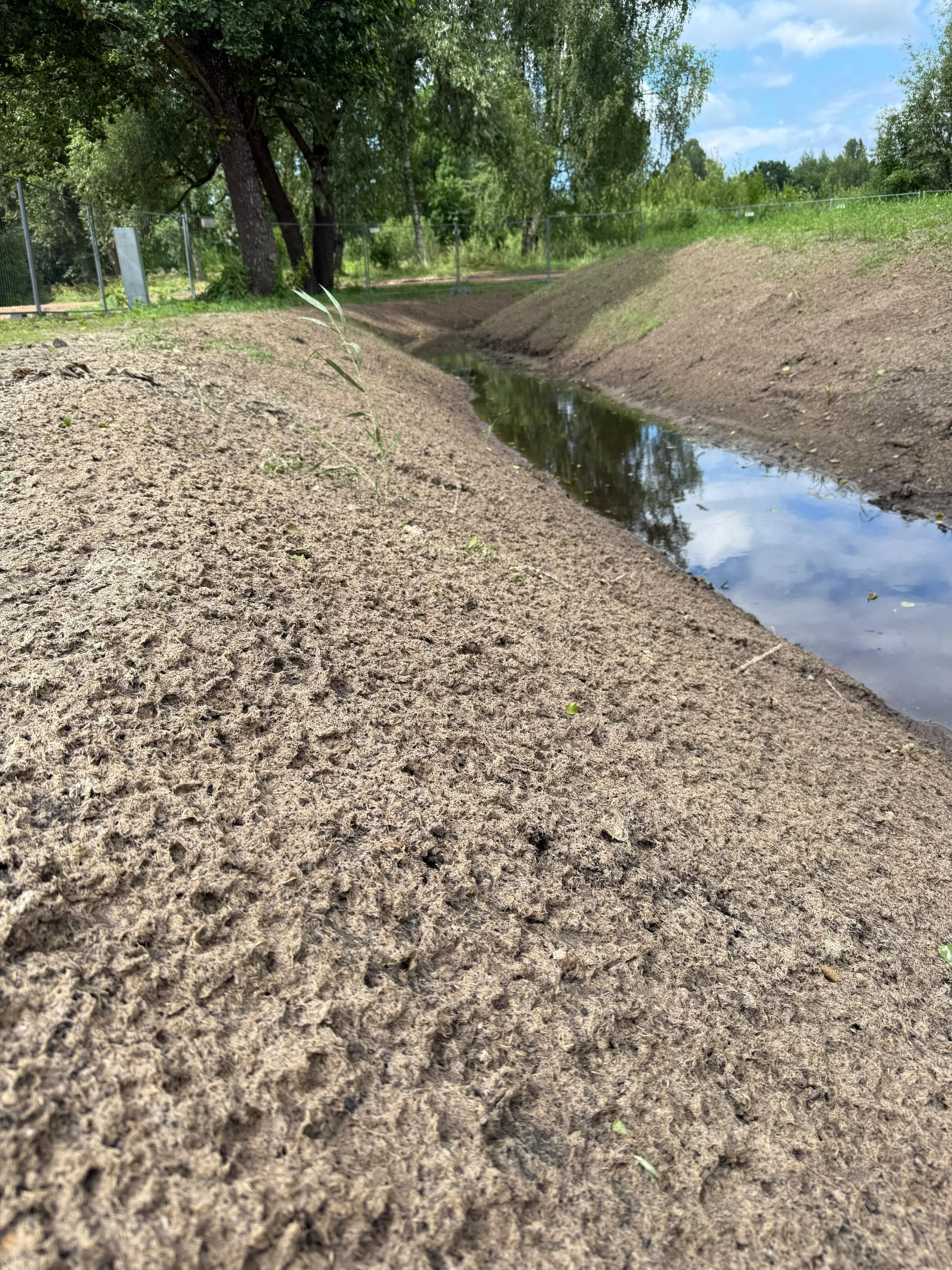 Hydroseeding 5