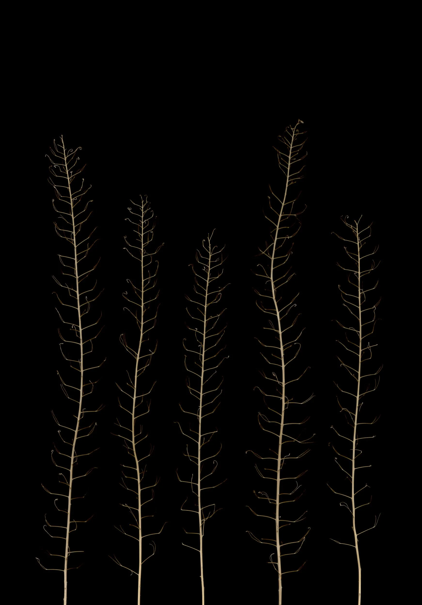 Towers