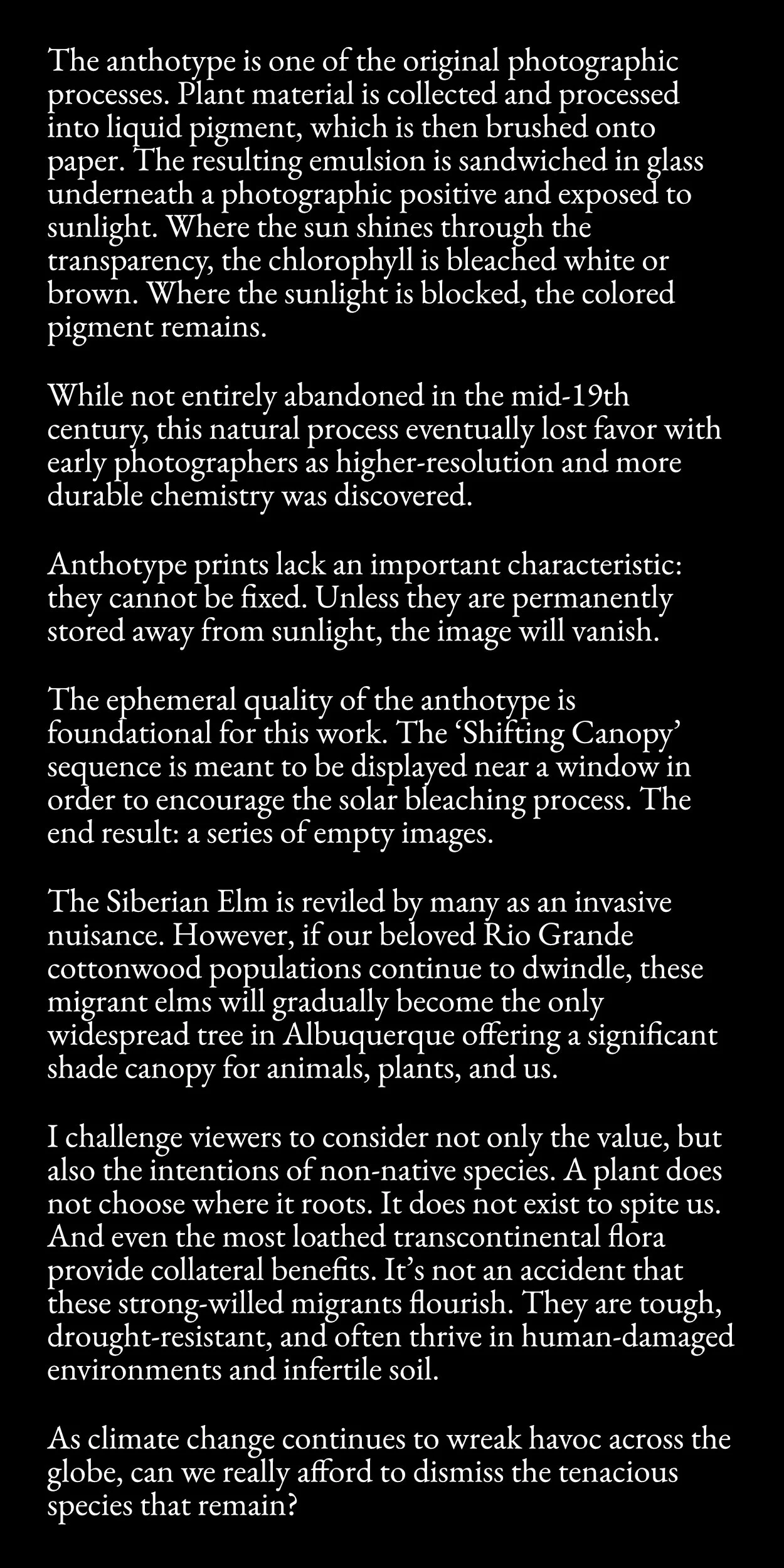 Cottonwood-Anthotypes-Artist-Statement-(Squarespace).jpg