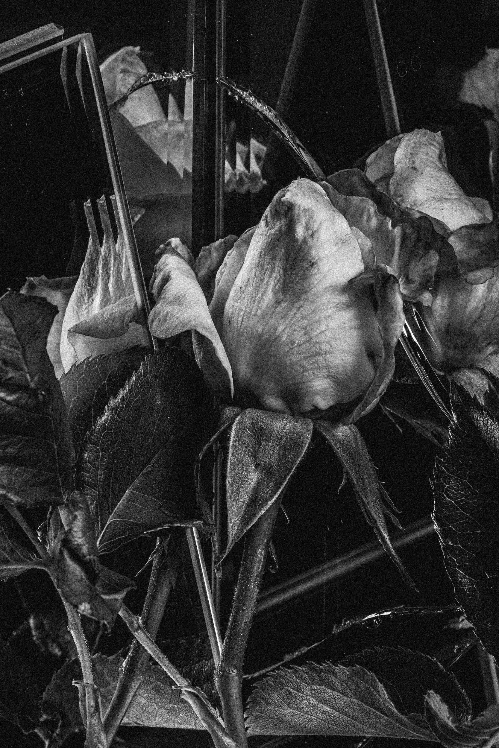 Broken-Mirrors-9.jpg