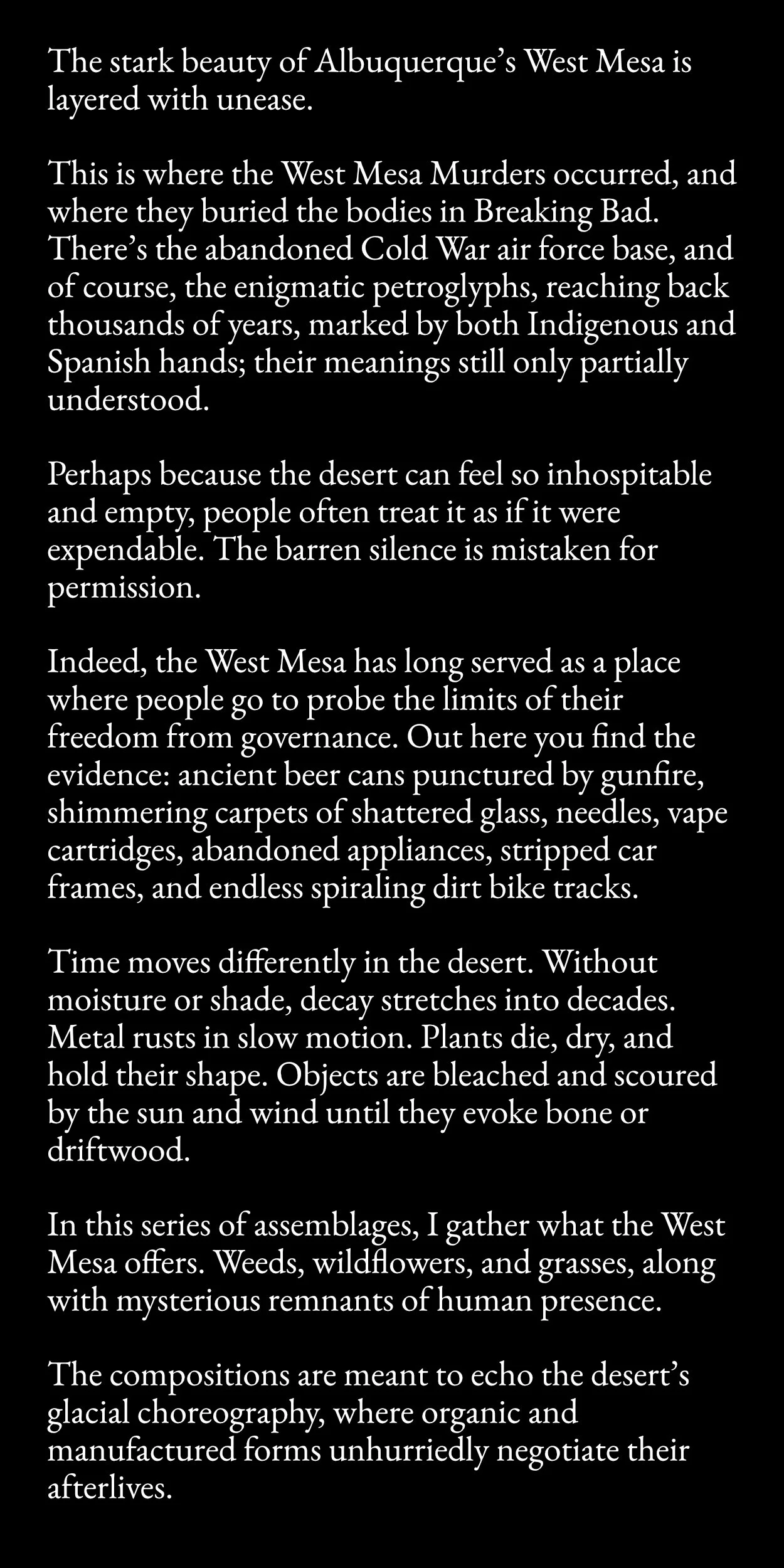 West-Mesa-Assemblages-Artist-Statement-(Squarespace).jpg