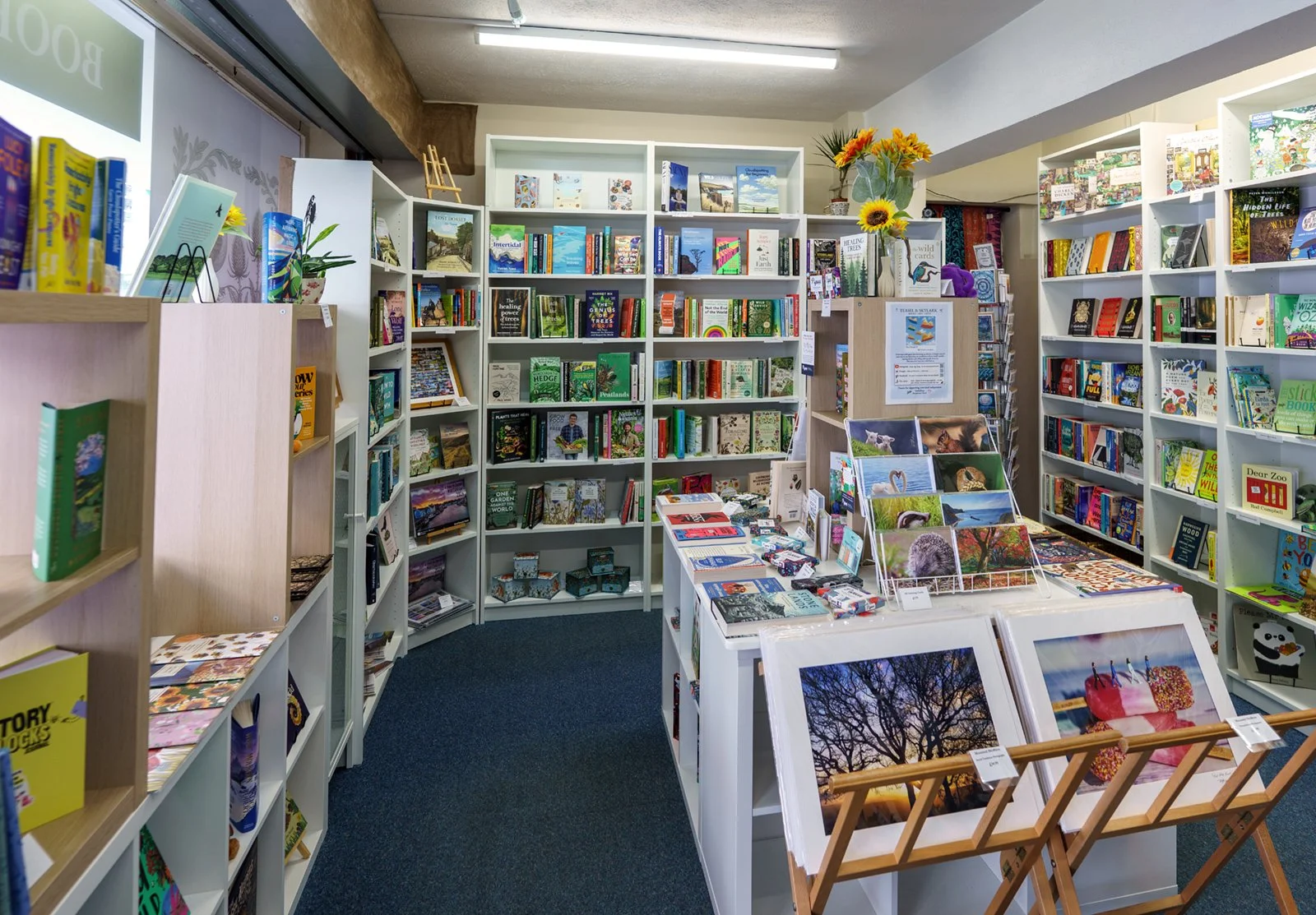 Teasel & Skylark opens -4 August 2025