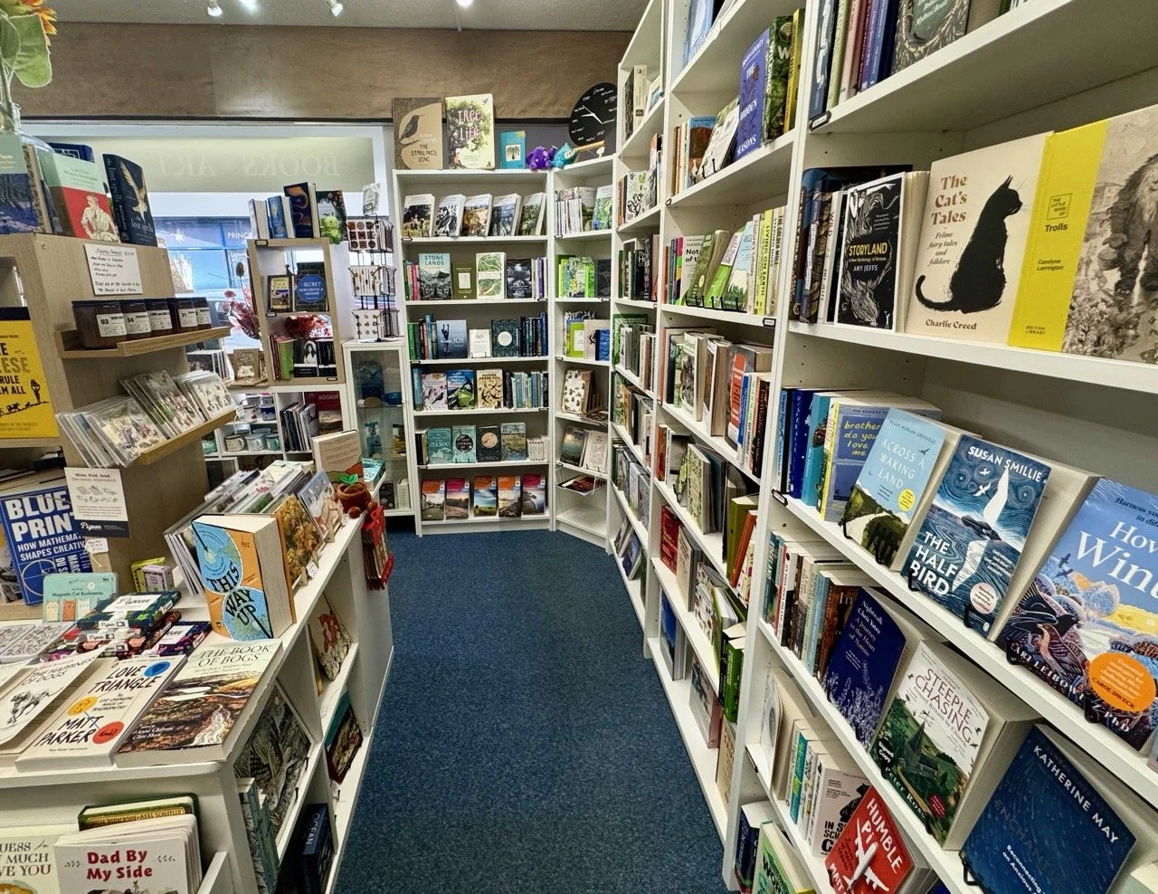 Inside a bookstore with shelves filled with books, including children's books, novels, and non-fiction, with a blue carpeted floor and a window in the background.