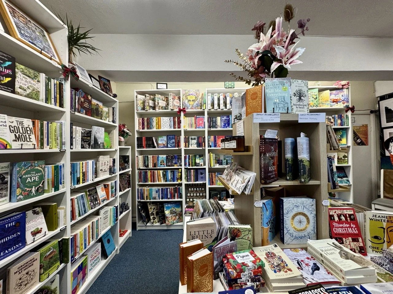 A cozy bookstore filled with white shelves stocked with colorful books, some arranged with decorative displays, and potted plants adding a touch of greenery.