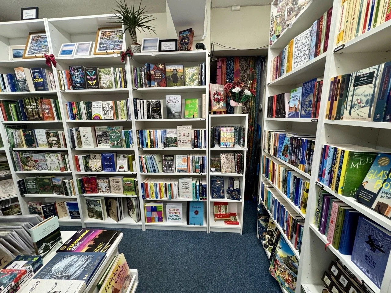 Bookshelves filled with books in a bookstore or library, with some decorative items and framed pictures on top.