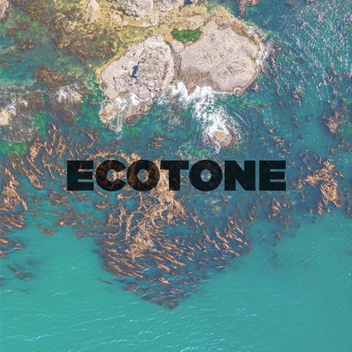 Quiet Phenomena icon inspired by ecotones where ecosystems meet, informing transitions between architecture, landscape, and interior space.