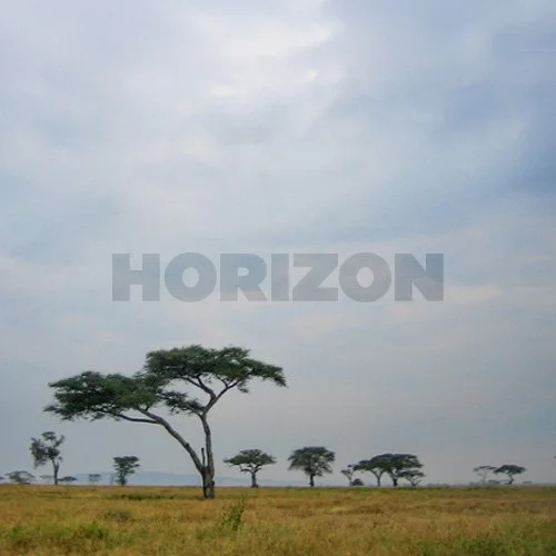 Quiet Phenomena icon exploring the horizon as inspiration for long views, proportion, and the relationship between architecture and landscape.