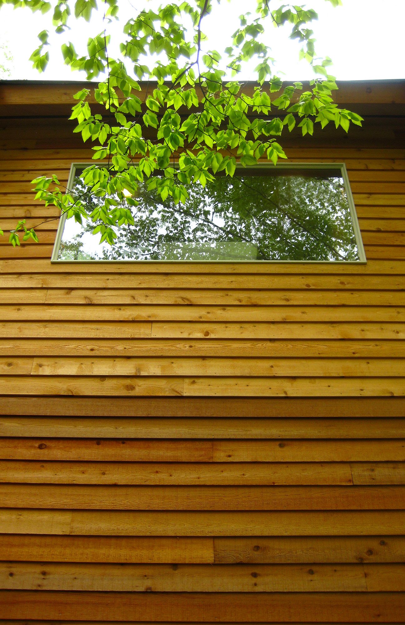 LIGHTWELL-siding up 2.jpg