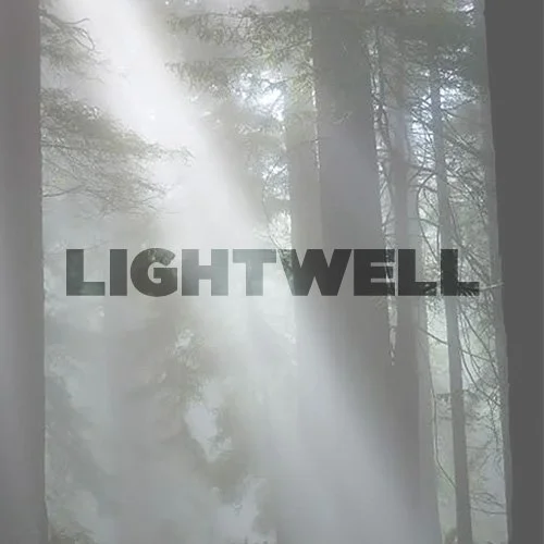 NATURE-lightwell.jpg