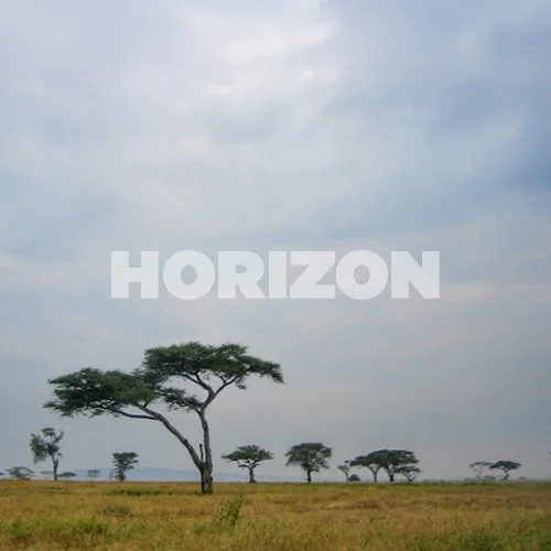 Quiet Phenomena icon exploring the horizon as inspiration for long views, proportion, and the relationship between architecture and landscape.
