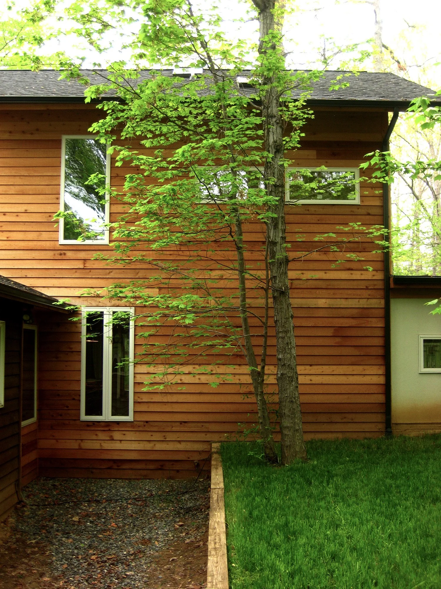 LIGHTWELL-side elevation.jpg