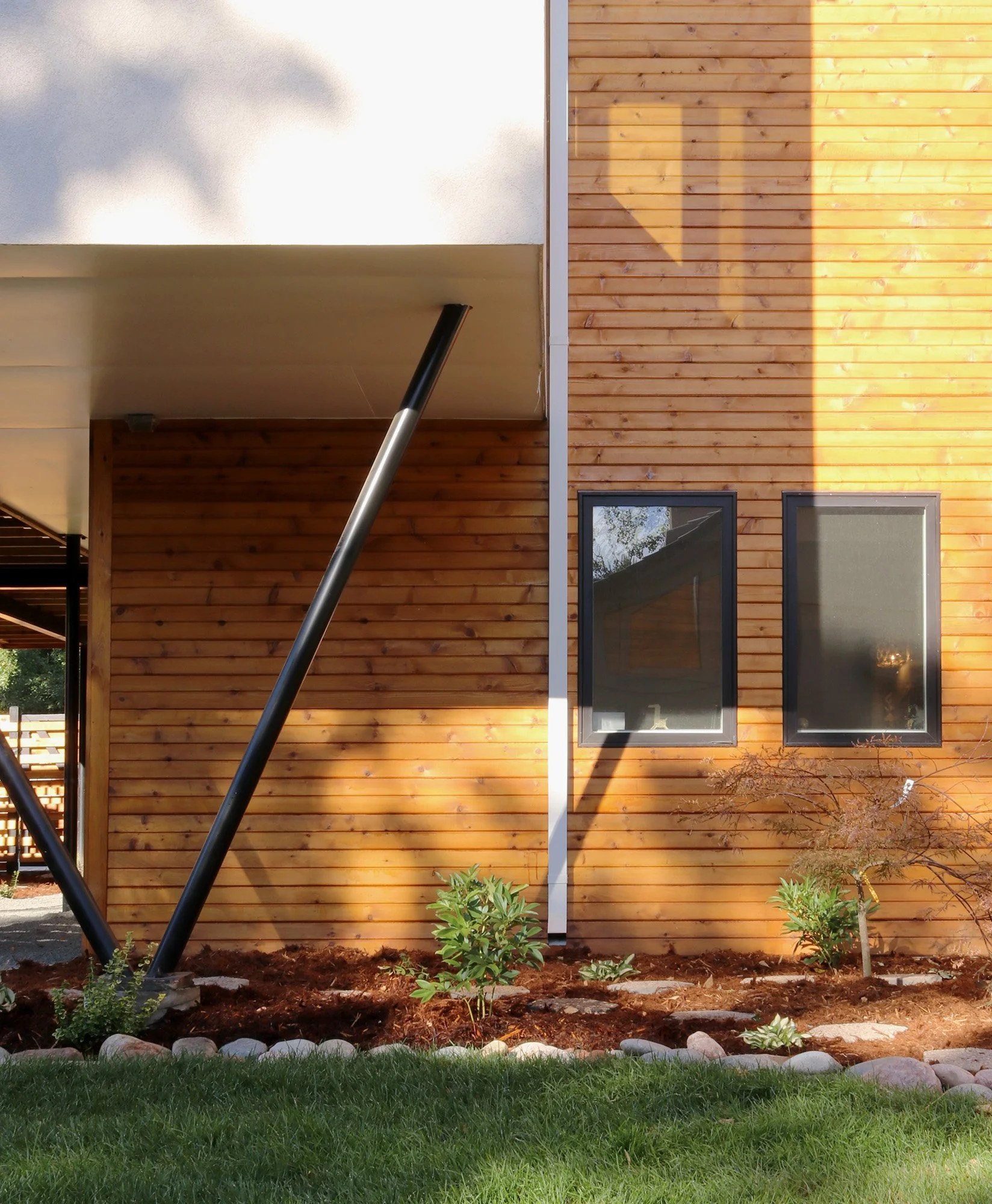 Phototropic House by AsOne Architecture featuring cedar cladding and angled structural columns inspired by plants growing toward light in a modern Colorado residence.
