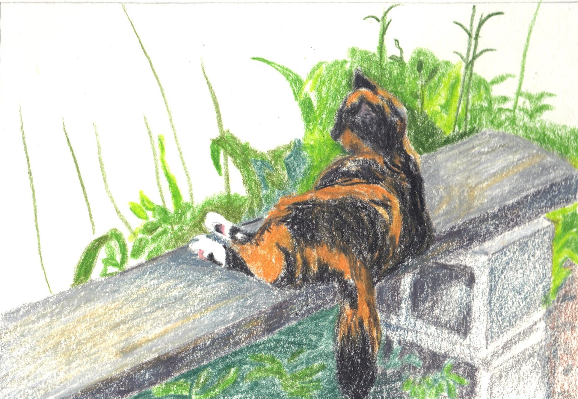 judys art 001(11).jpg