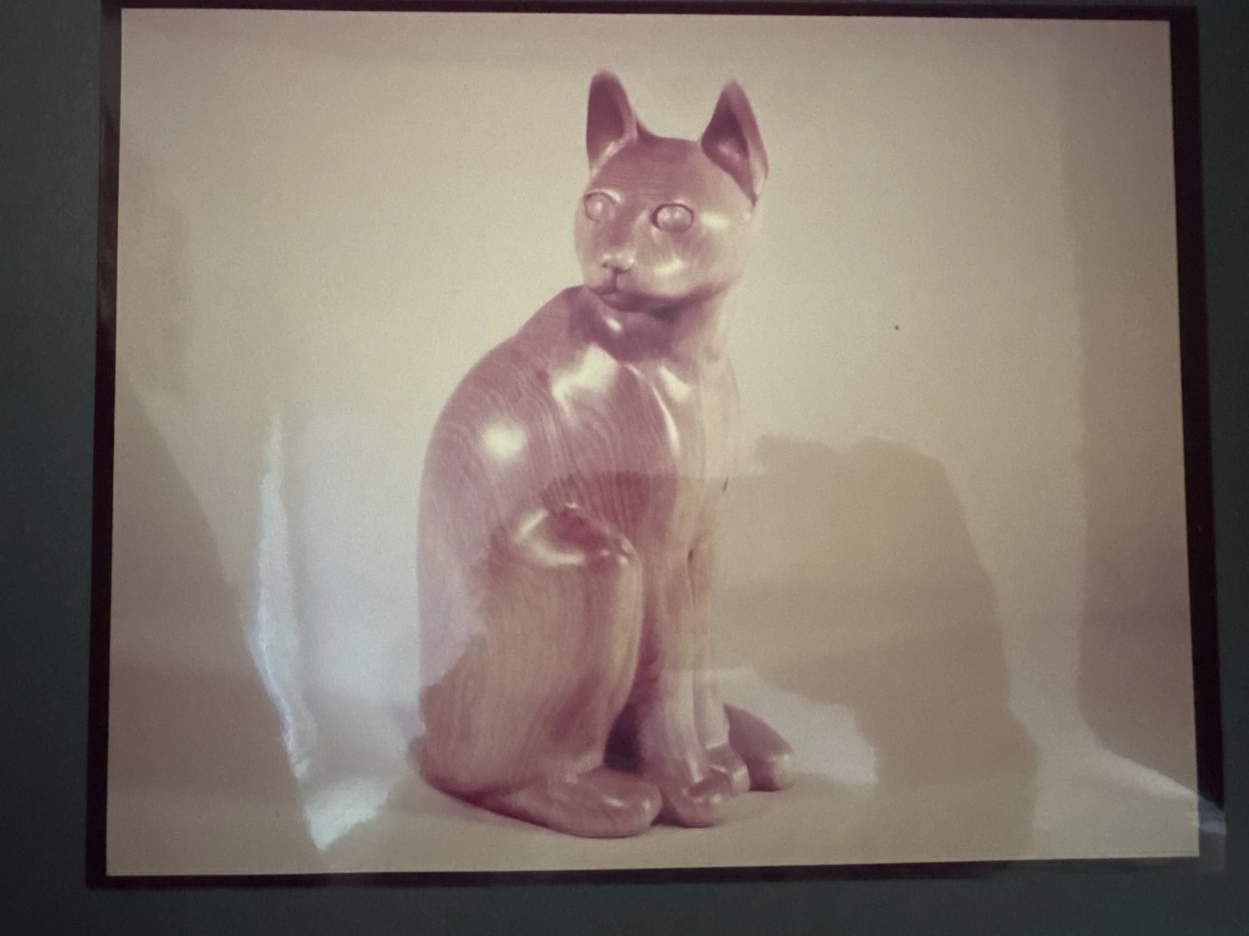Sittingkitty.jpg