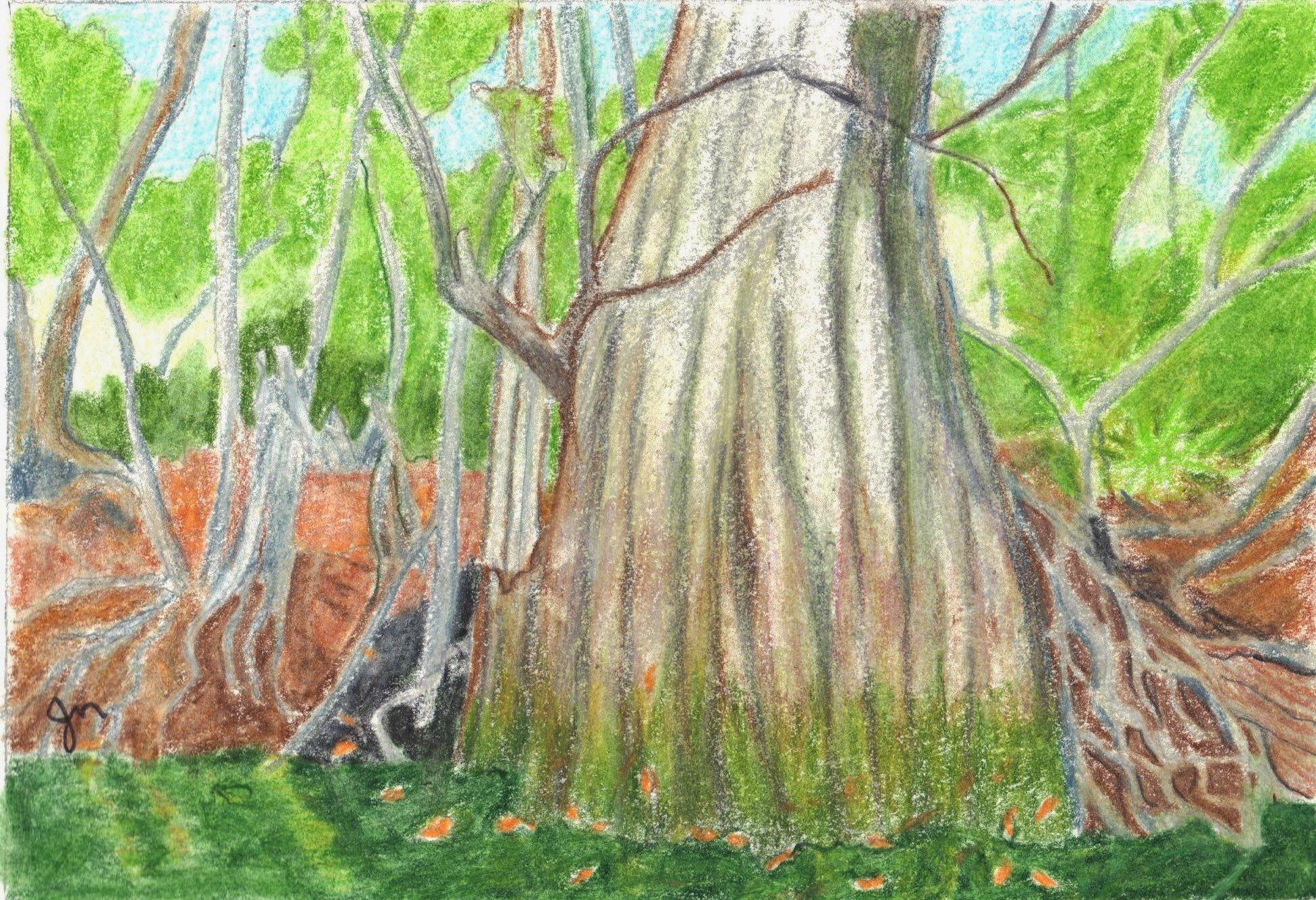 judys art 003(1).jpg