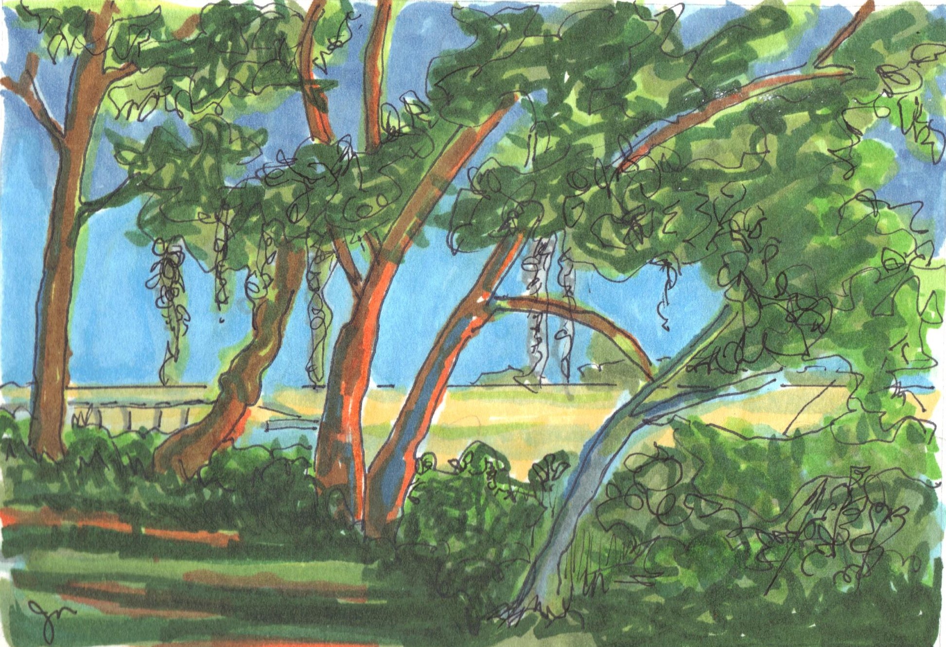 judys art 002(3).jpg