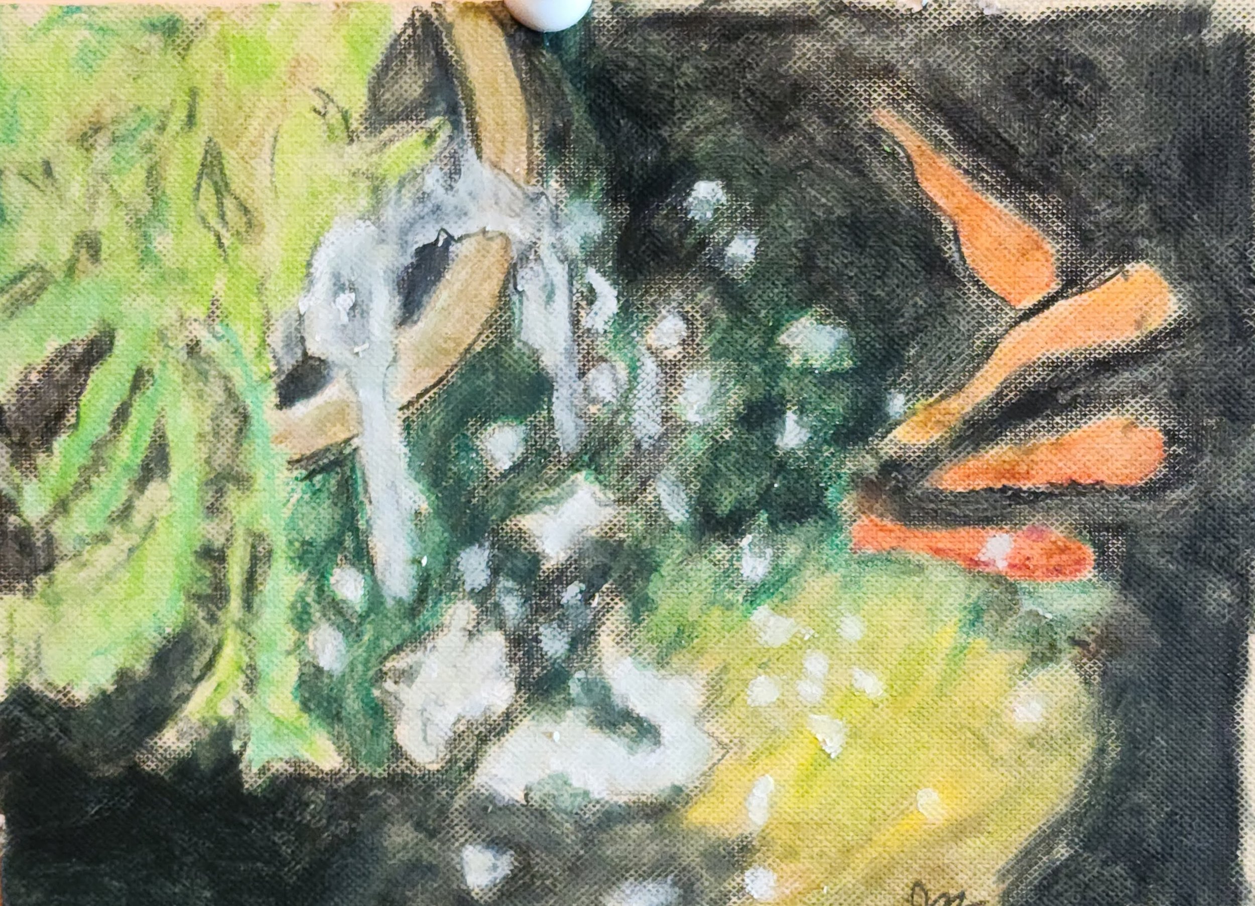20230316_144327.jpg