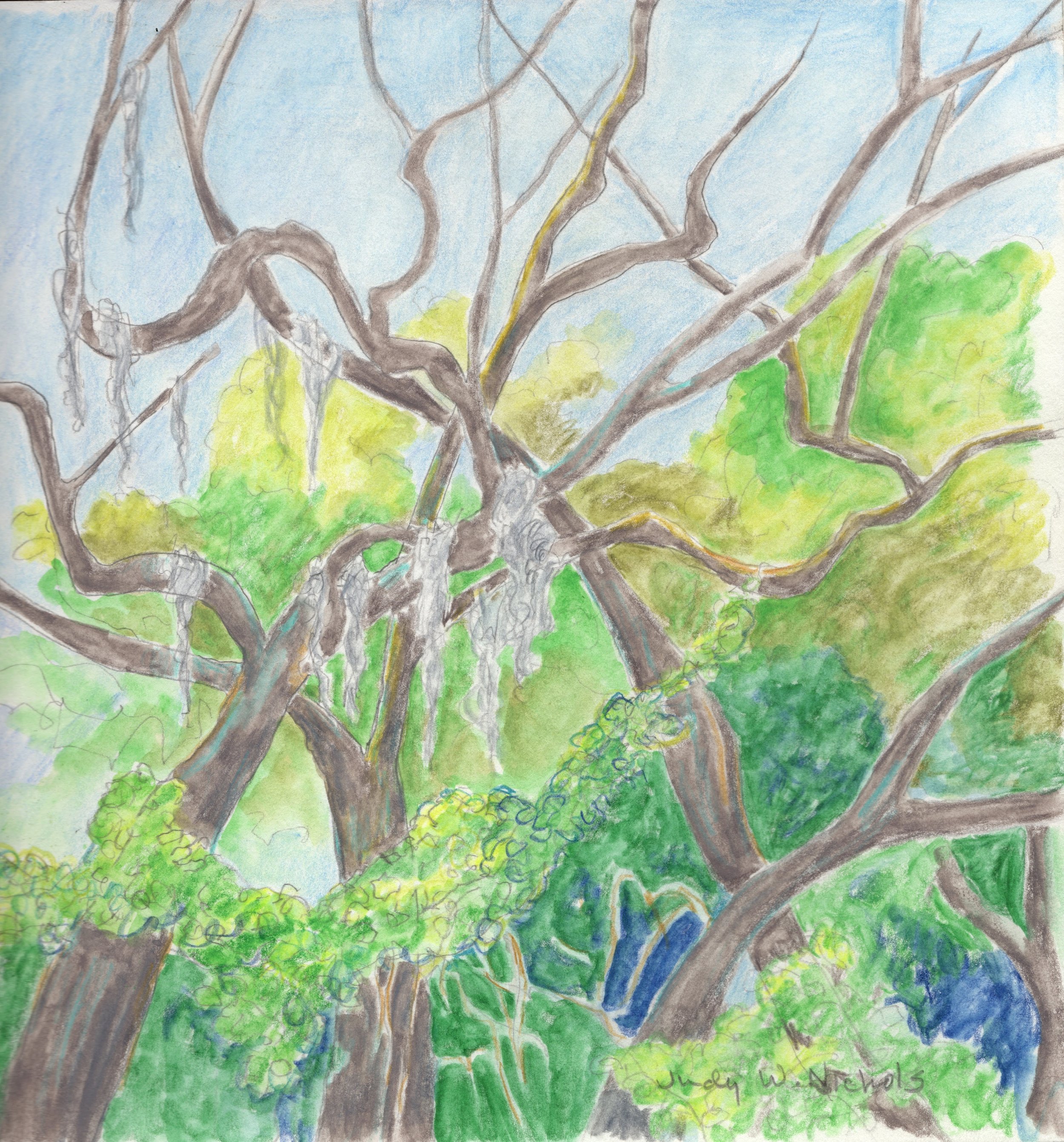 judys art trees.jpg
