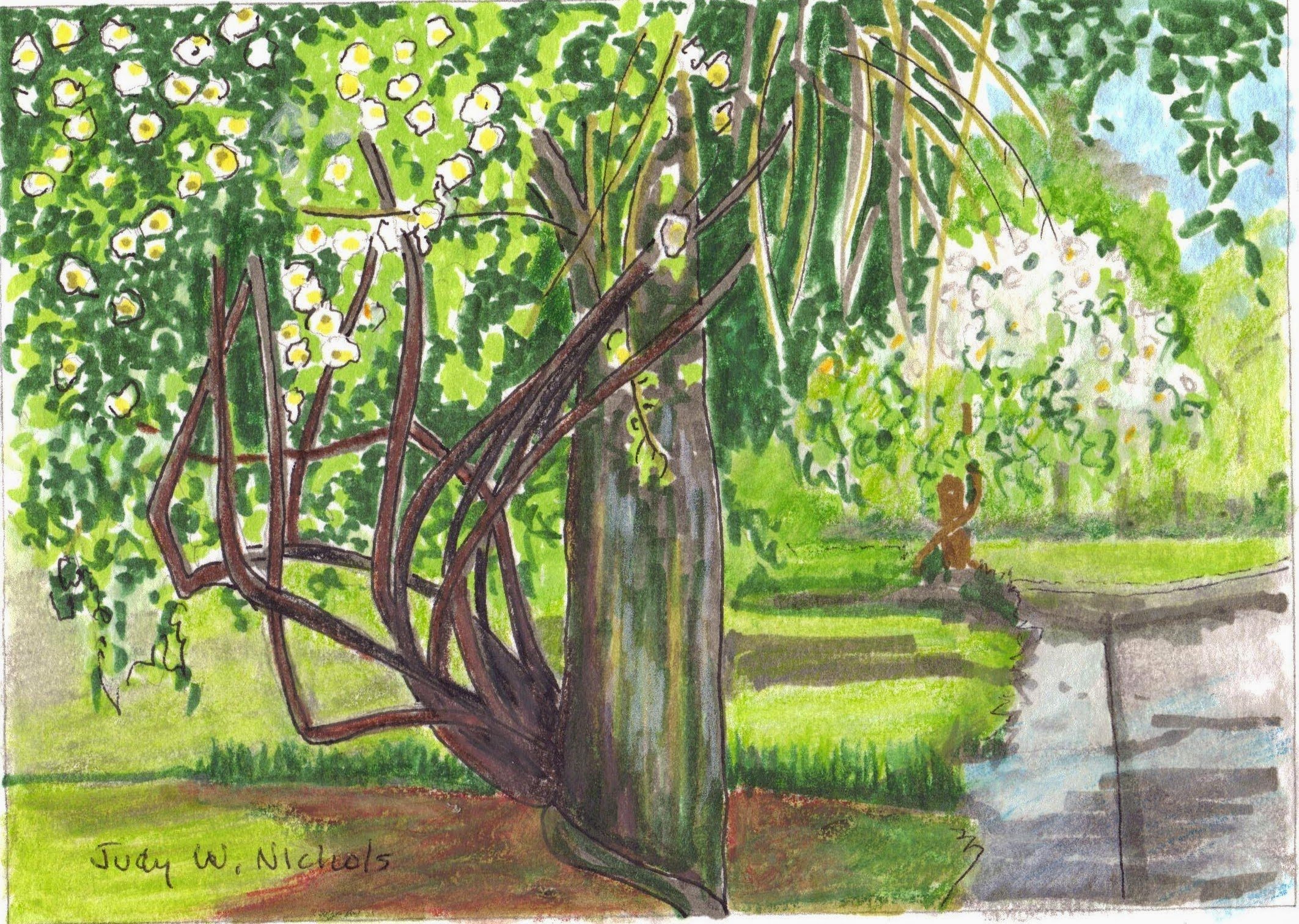 judys art 001(8).jpg