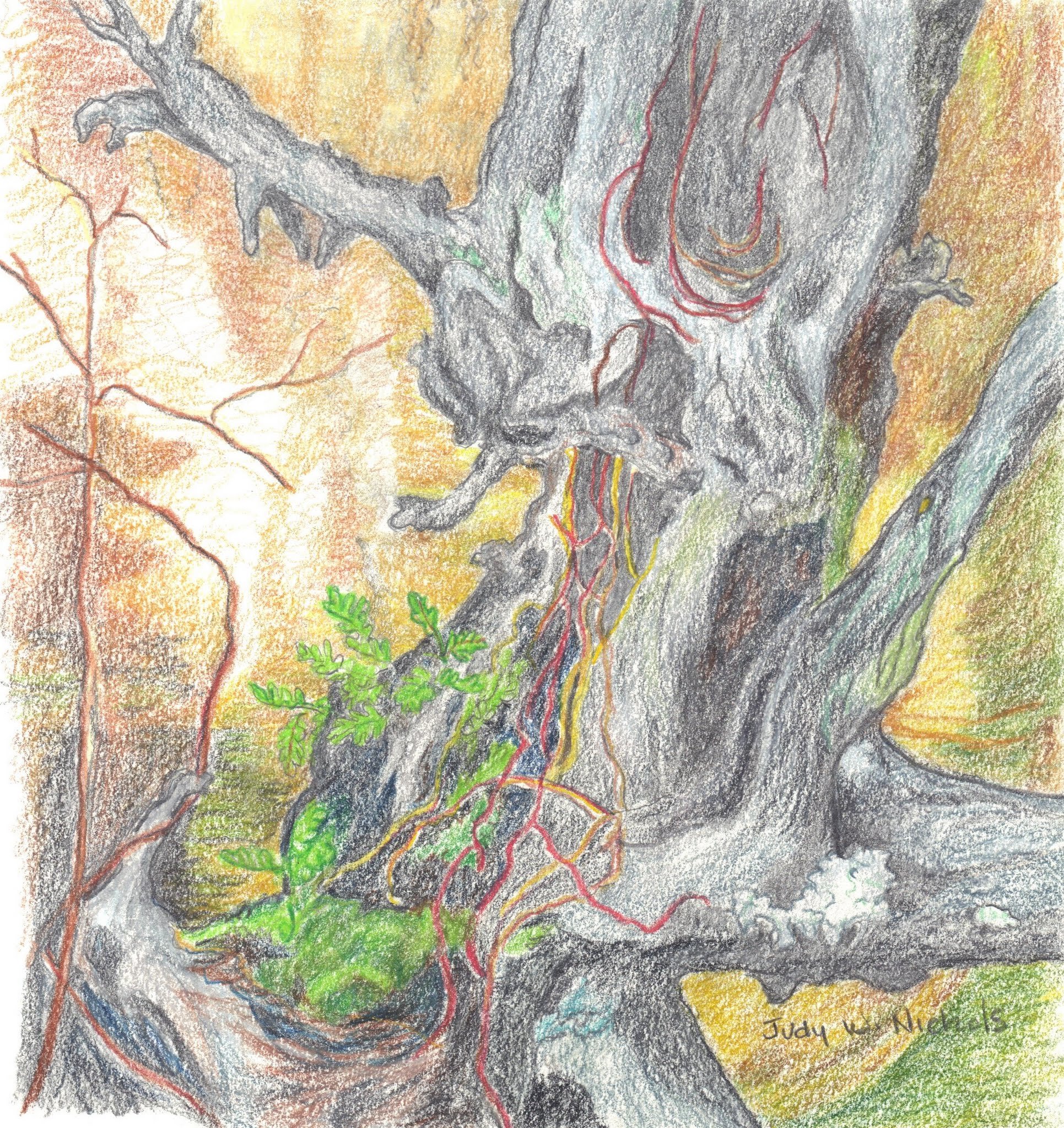 judys art 015.jpg