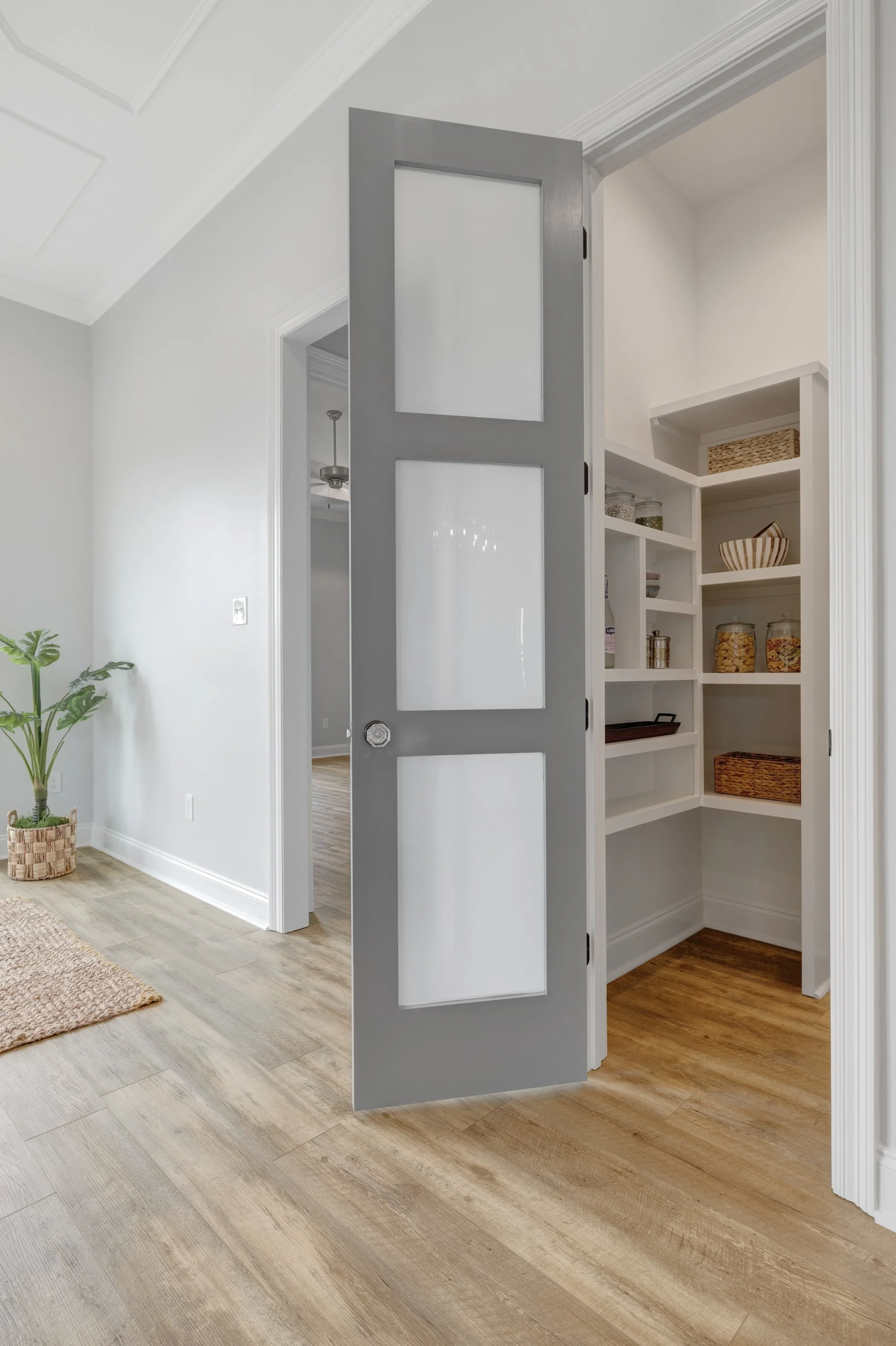 101 Queen Palm-9.jpg