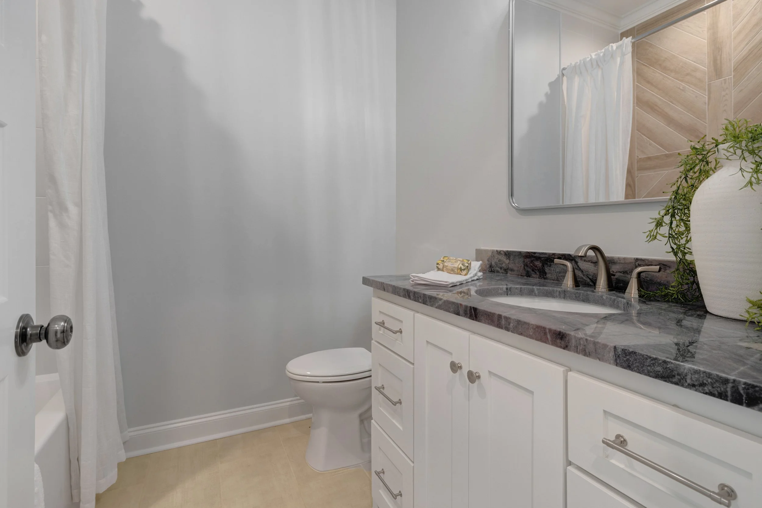 101 Queen Palm-3.jpg