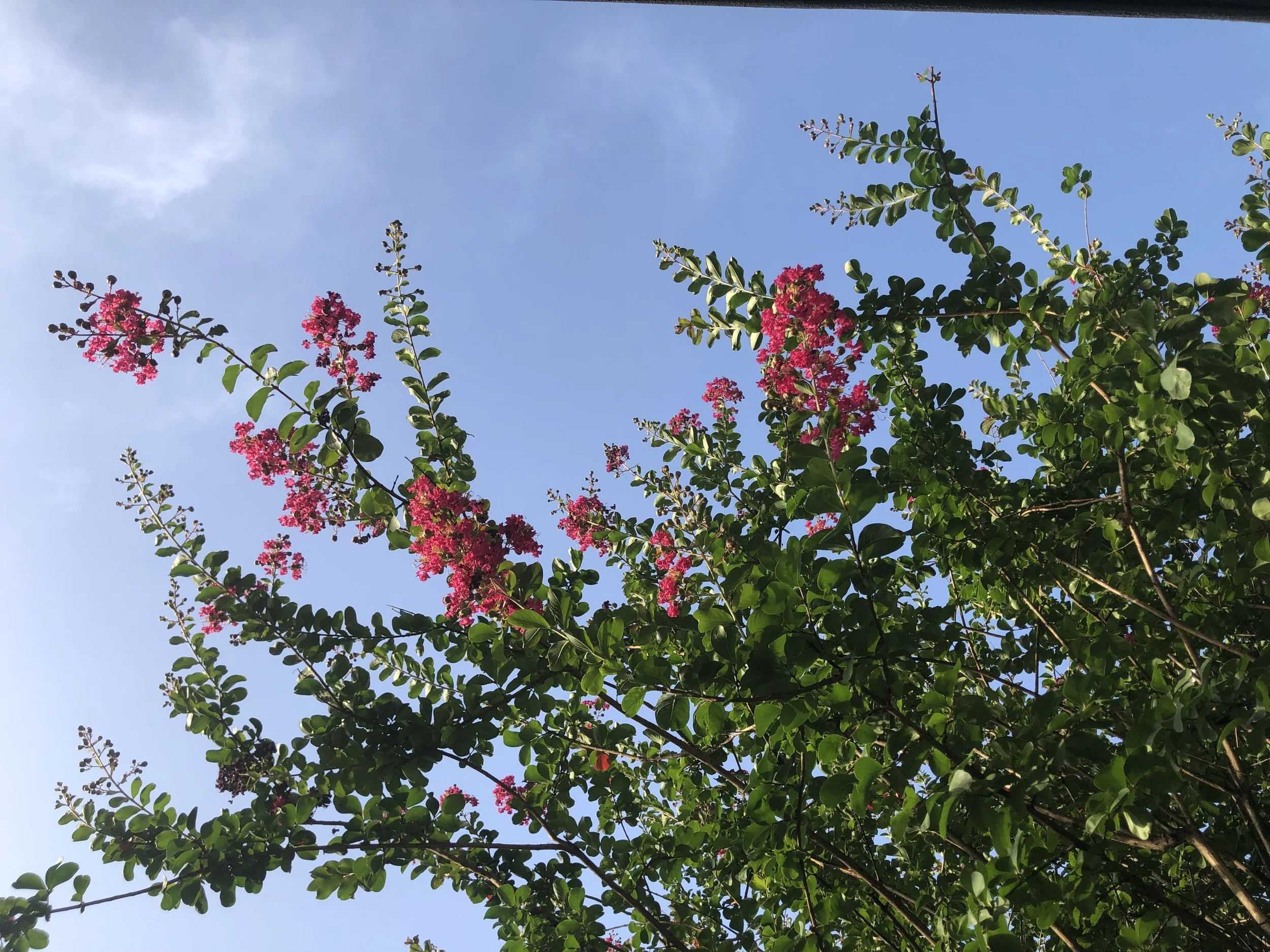 Expert business guidance and marketing help for product-based brands from licensed coach and marketing specialist