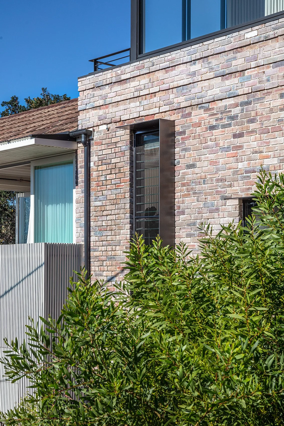 MLF20_MolnarFreeman_RowlandSt_00231.jpg