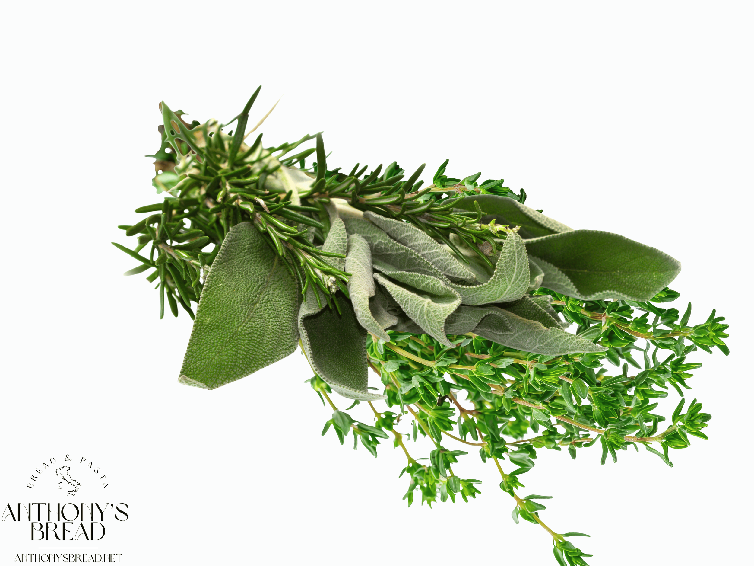 Sage Rosemary Thyme Sourdough