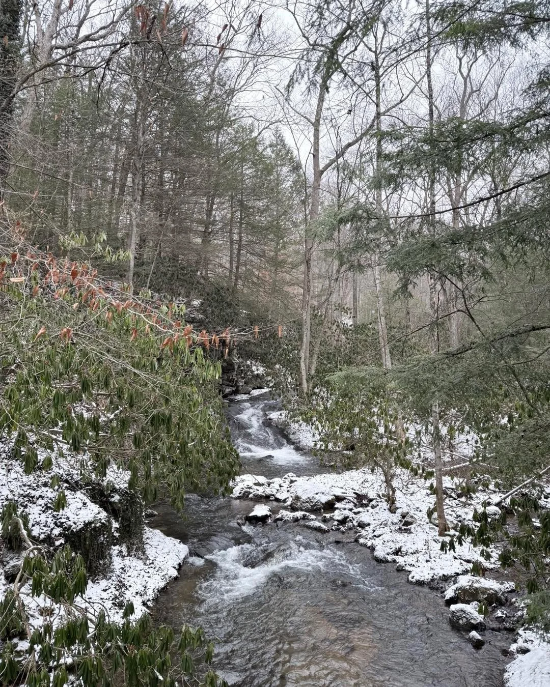 Snowy city charm meets mountain magic ❄️✨
Our winter escape to Pittsburgh &amp; The Laurel Highlands was the perfect mix of culture, comfort, and iconic sights.

🚋 Rode the Duquesne Incline for those postcard skyline views
🏛️ Explored American hist