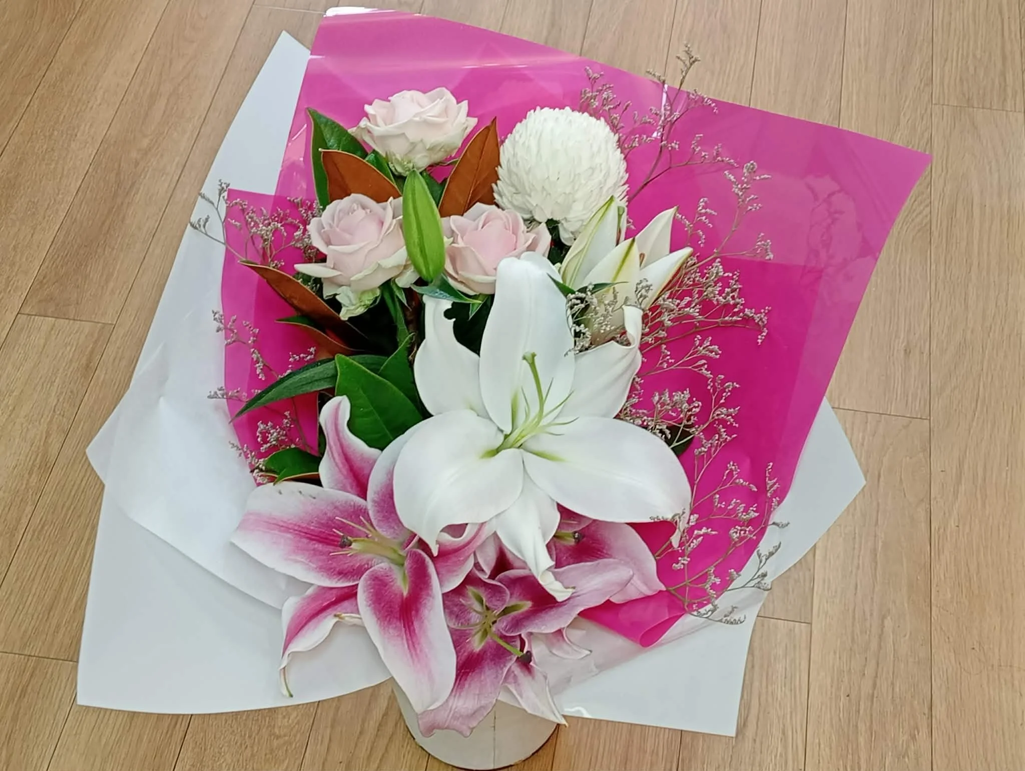 b6e4bb3c-f162-4662-8dc3-5ba00ef2330f.jfif