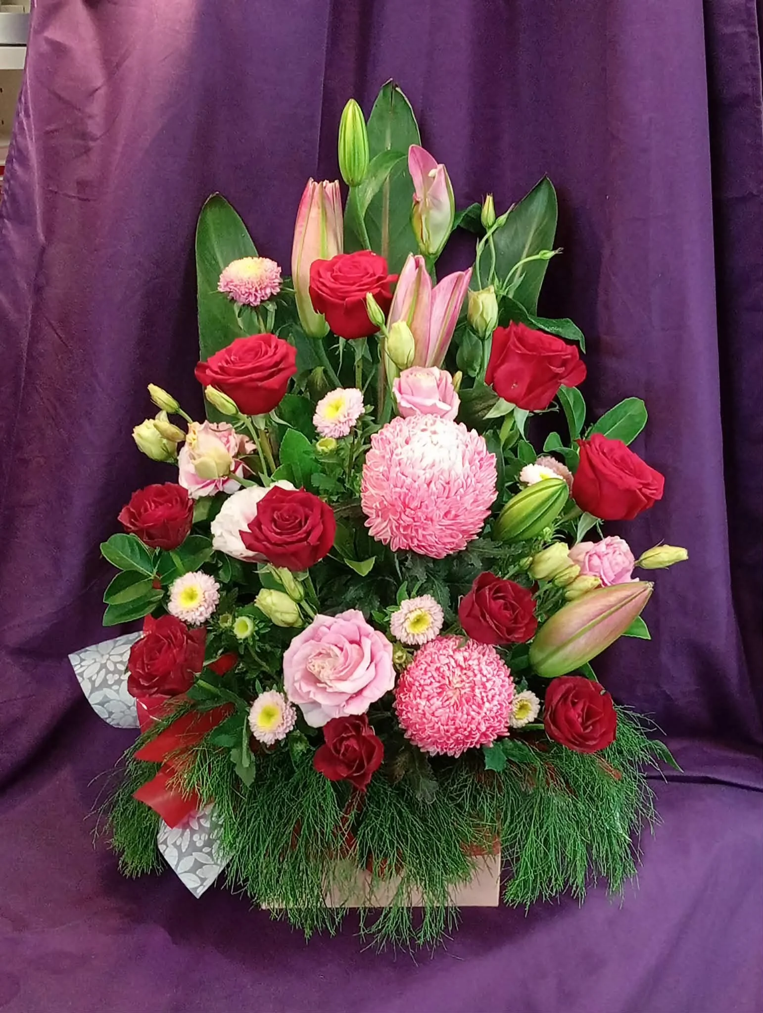 a10ee230-4466-4dc3-bda2-854f5af3796f.jfif