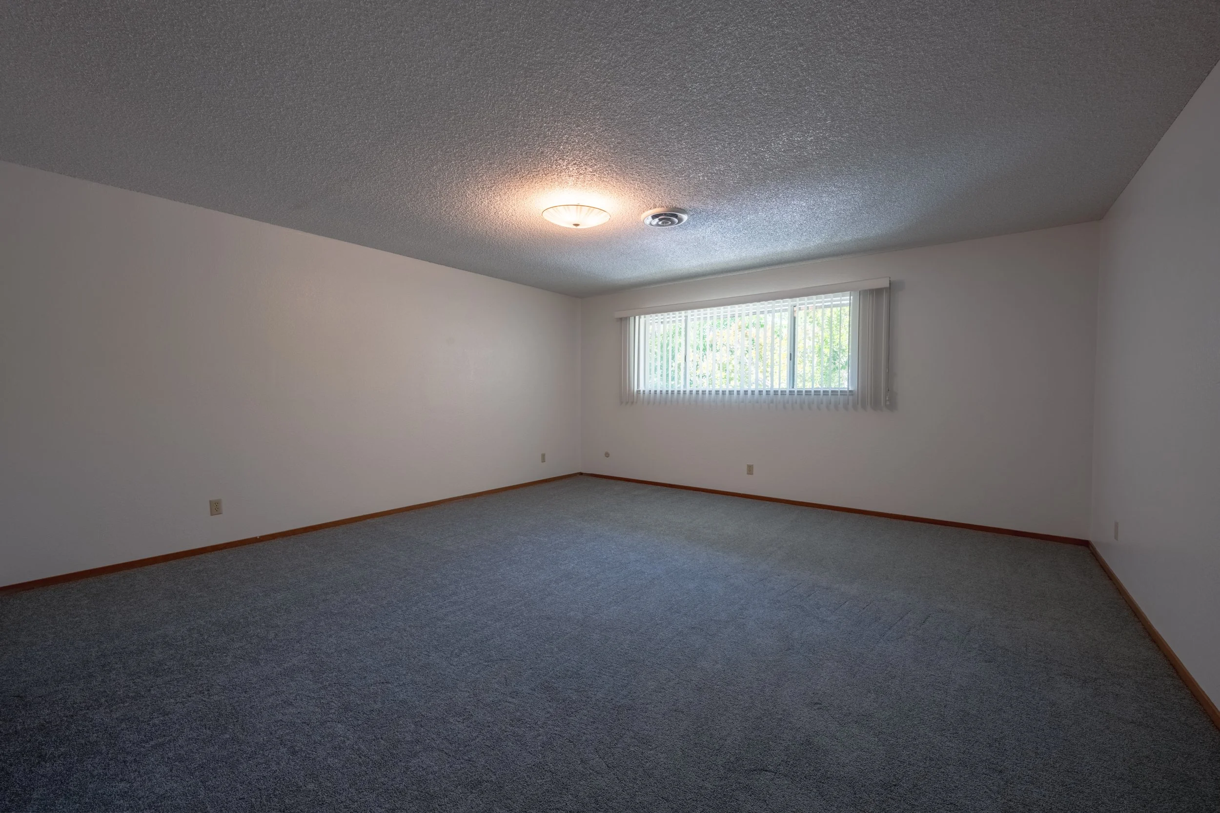 Apt. F Canary Apartments in Calistoga, CA. Empty room with white walls, a large window with vertical blinds, gray carpet, and a ceiling light fixture.