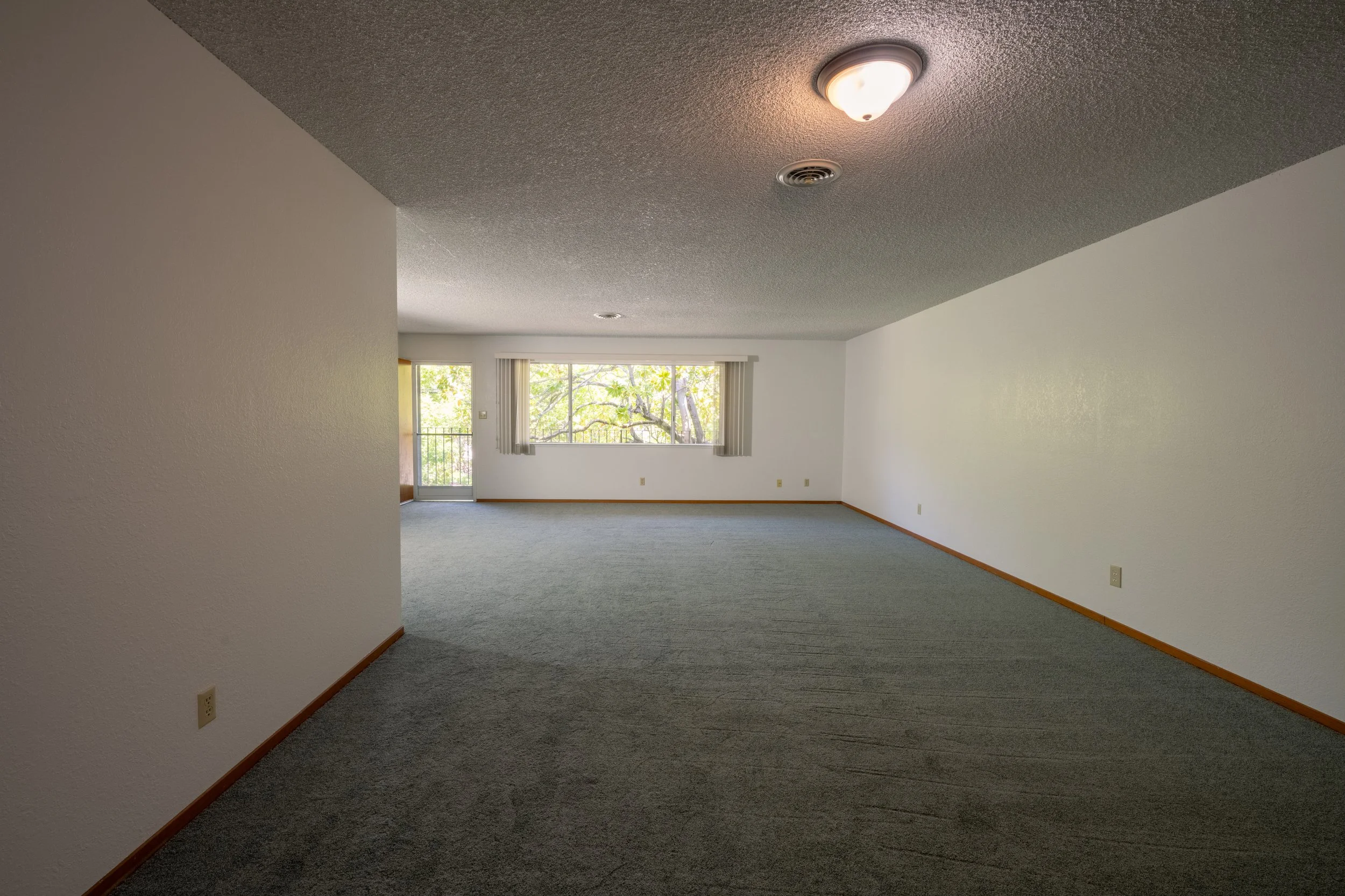 Apt. F Canary Apartments in Calistoga. Empty living room with large window, sliding glass door, carpeted floor, white walls, and ceiling light fixture.