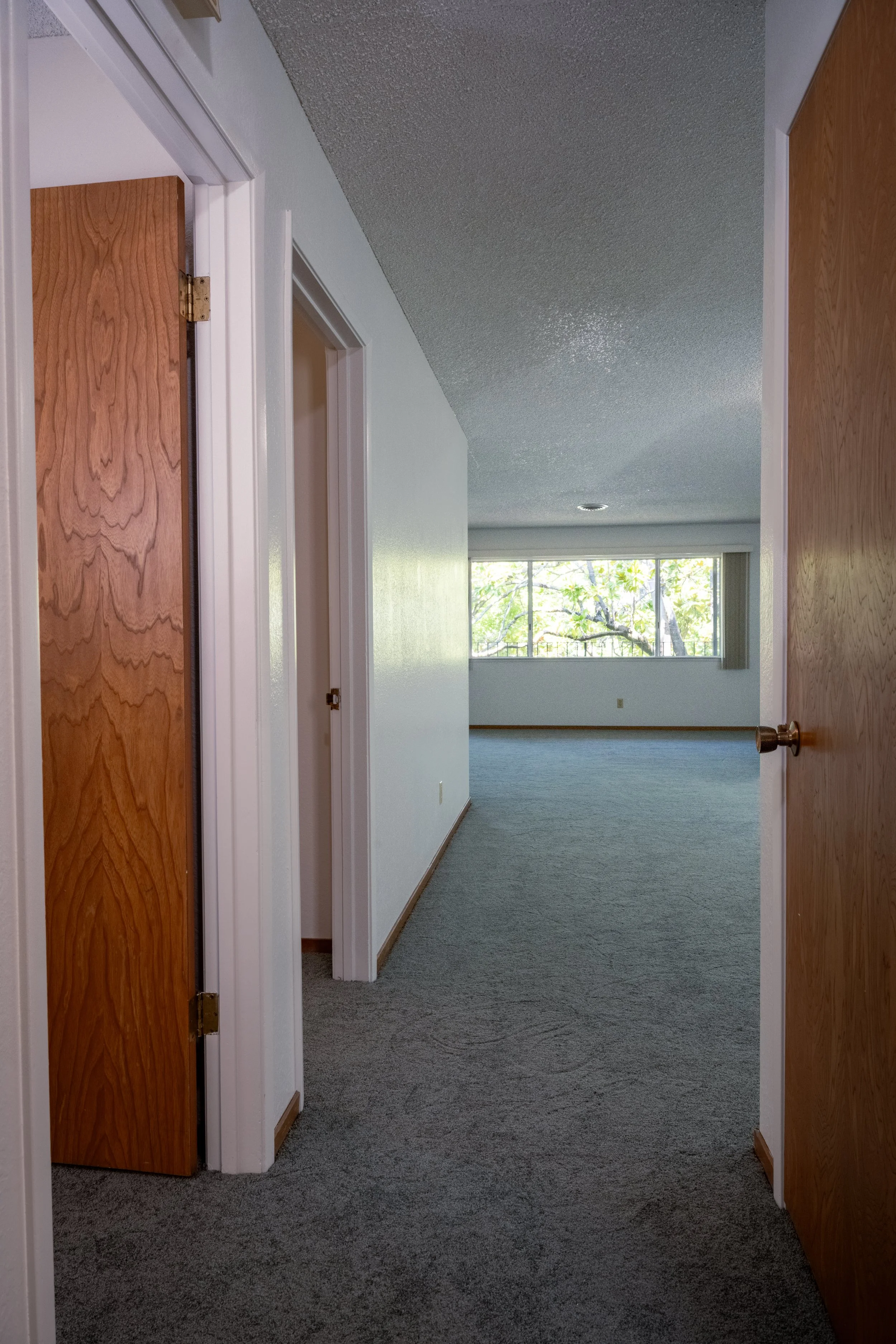 Apt. F: Canary Apartments in Calistoga, CA.  View from an open doorway into a carpeted hallway leading to a large room with a big window showing outside trees.