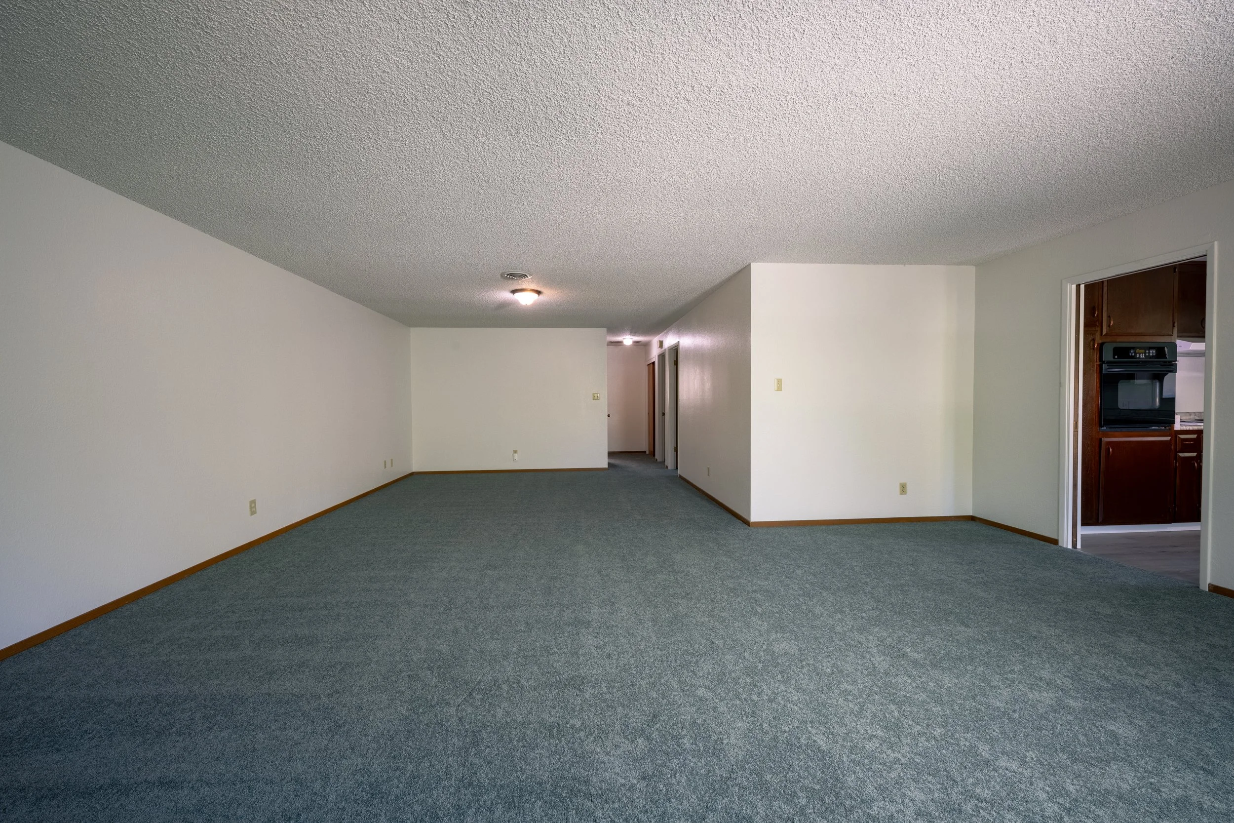 Apt. F Canary Apartments in Calistoga, CA.  Empty living room with white walls, gray carpet, and ceiling lights, adjacent to a kitchen with wooden cabinets visible through an open doorway.