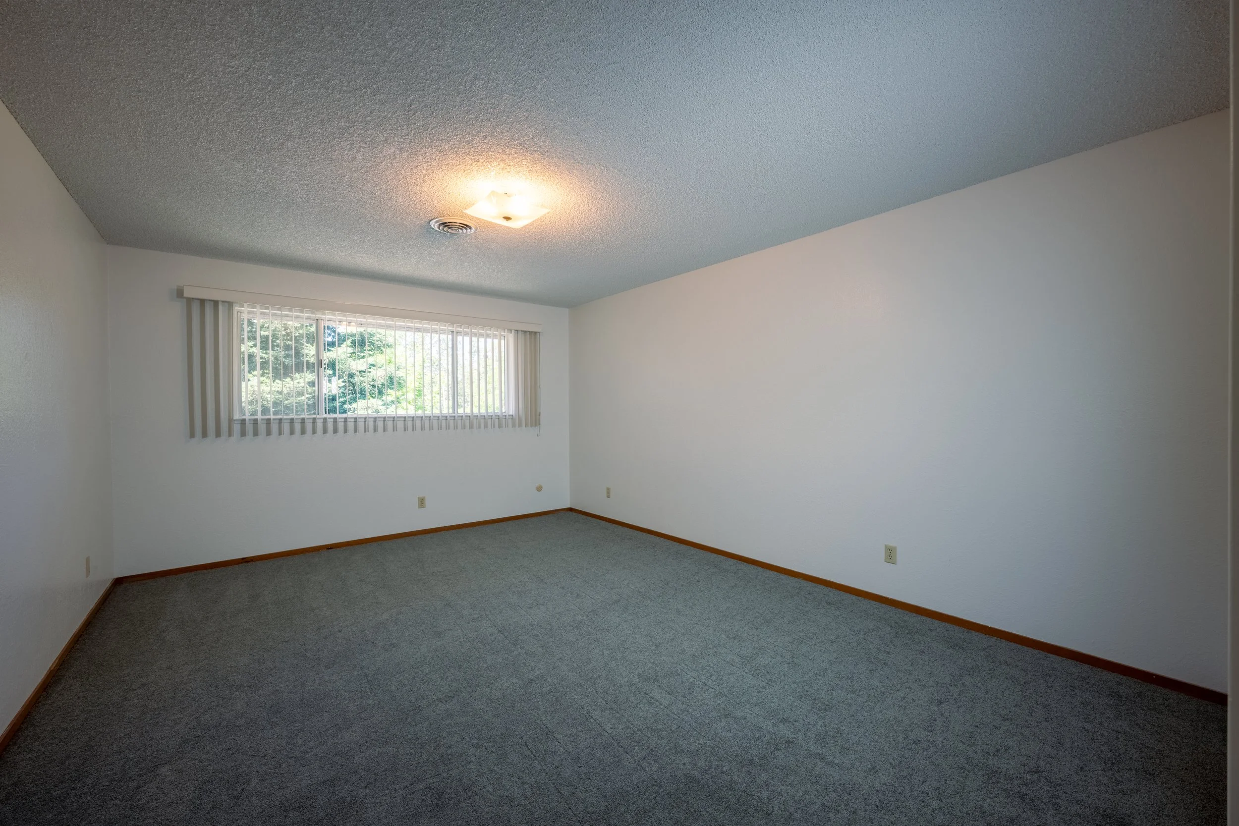 Apt. F Canary Apartments in Calistoga, CA.  Empty living room with grey carpet, white walls, a large window with vertical blinds, and a ceiling light.