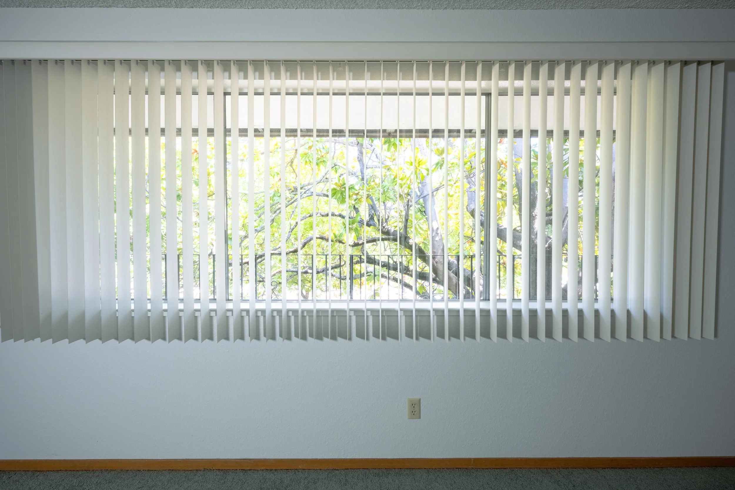 Apt. F Canary Apartments in Calistoga.   View through a window with vertical blinds showing a tree with green leaves outside.