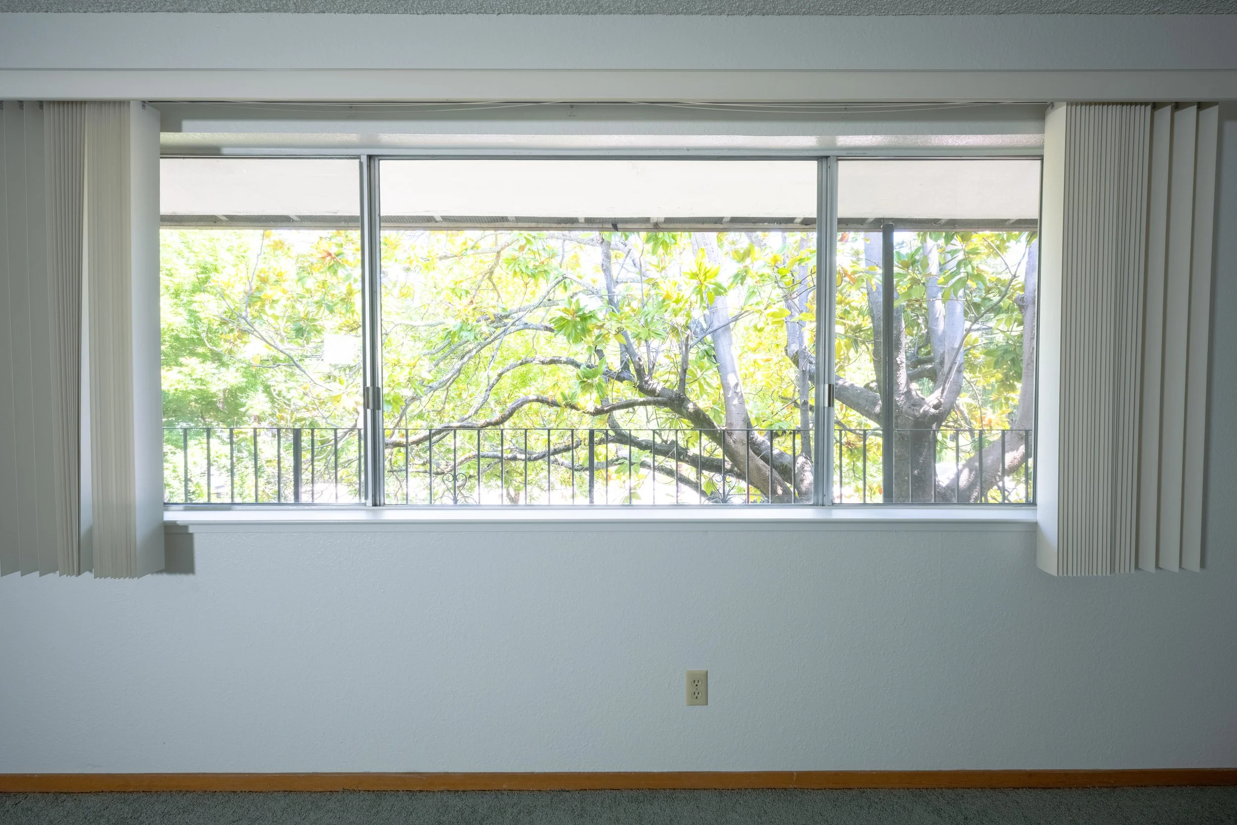 Apt. F Canary Apartments in Calistoga.  Empty room with a large window showing a green tree outside, beige curtains on the sides, and a gray carpeted floor.
