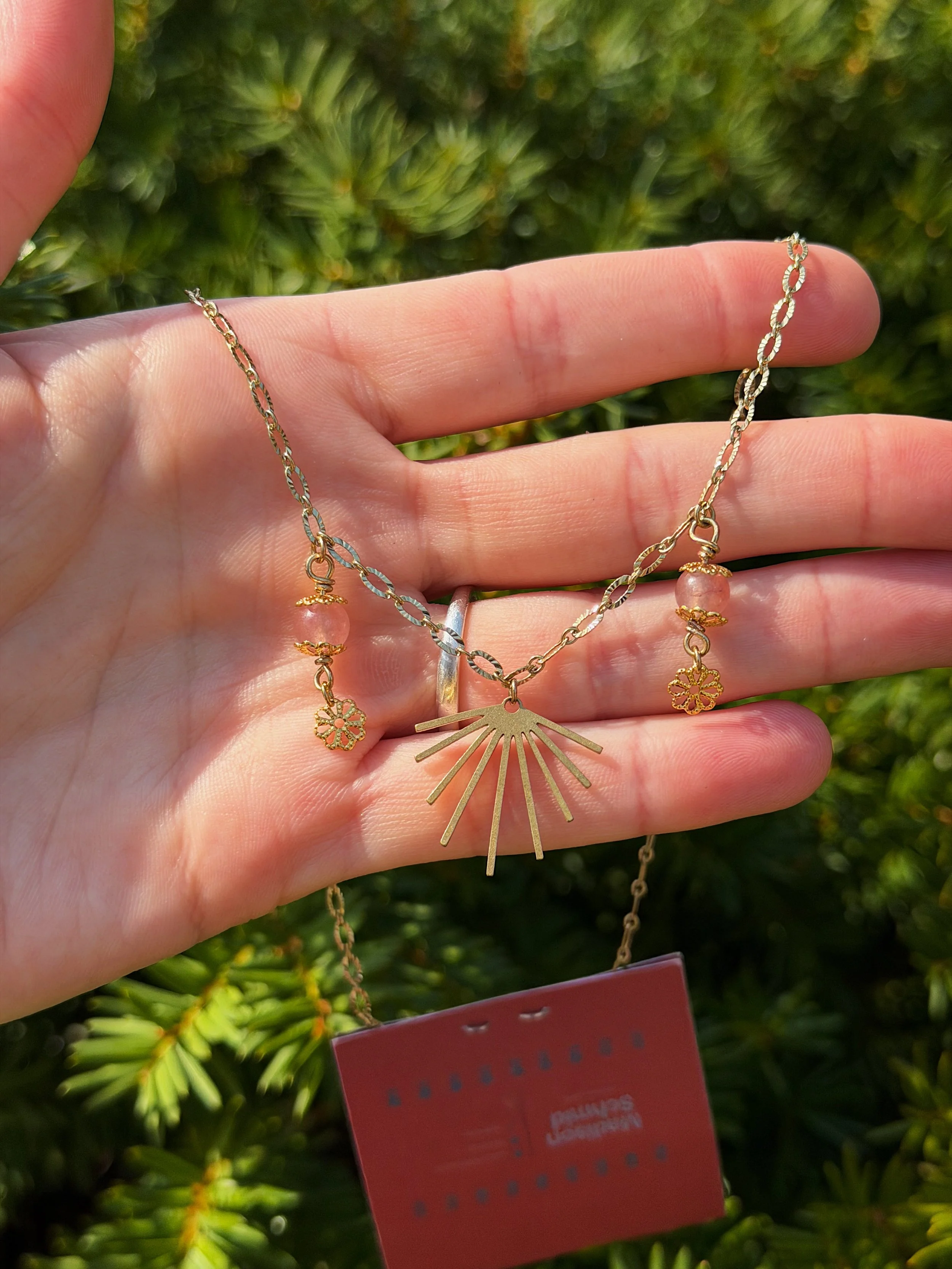 Photo Mar 30 2026, 11 54 33 AM.jpg