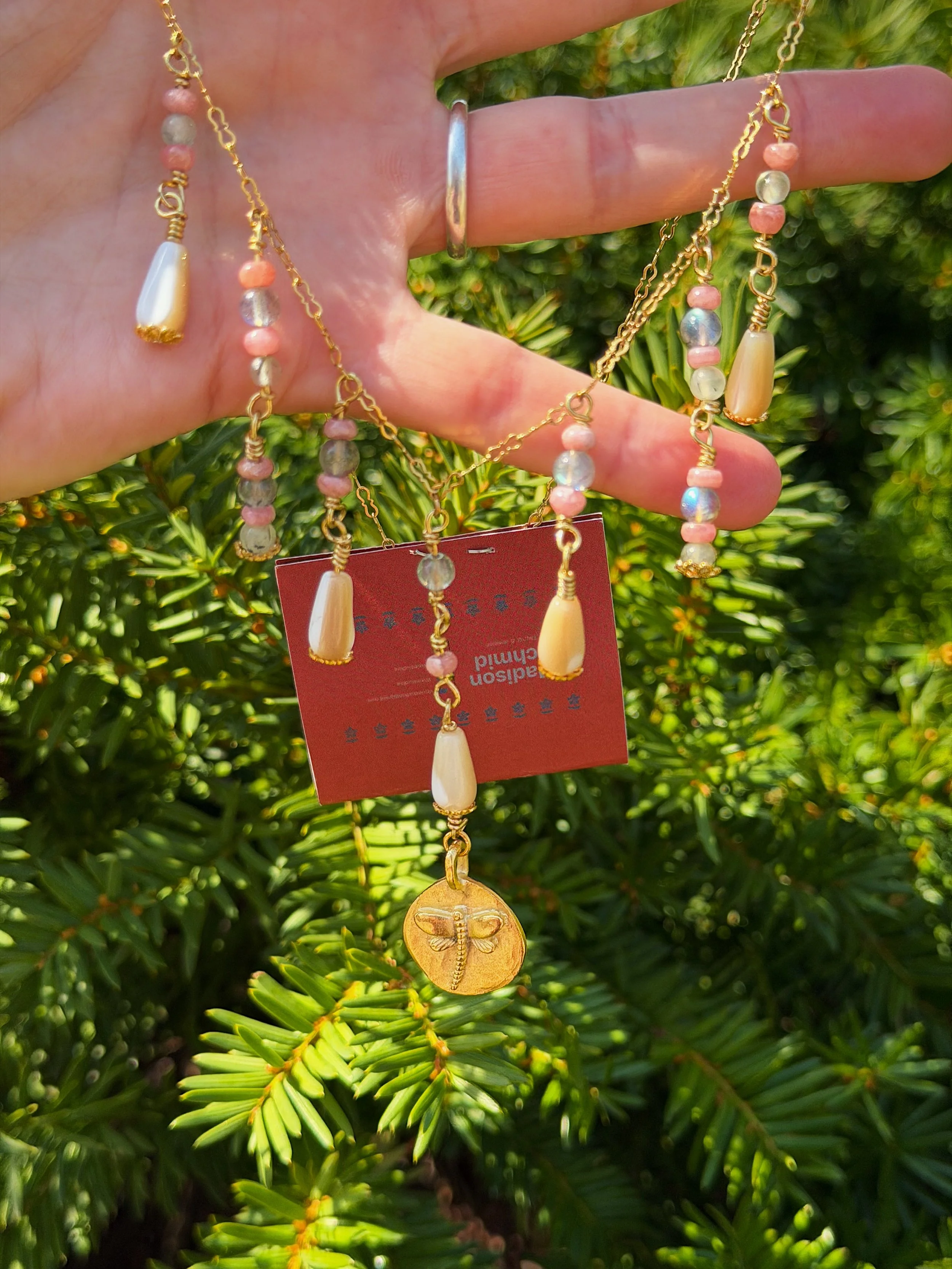 Photo Mar 30 2026, 11 55 32 AM.jpg