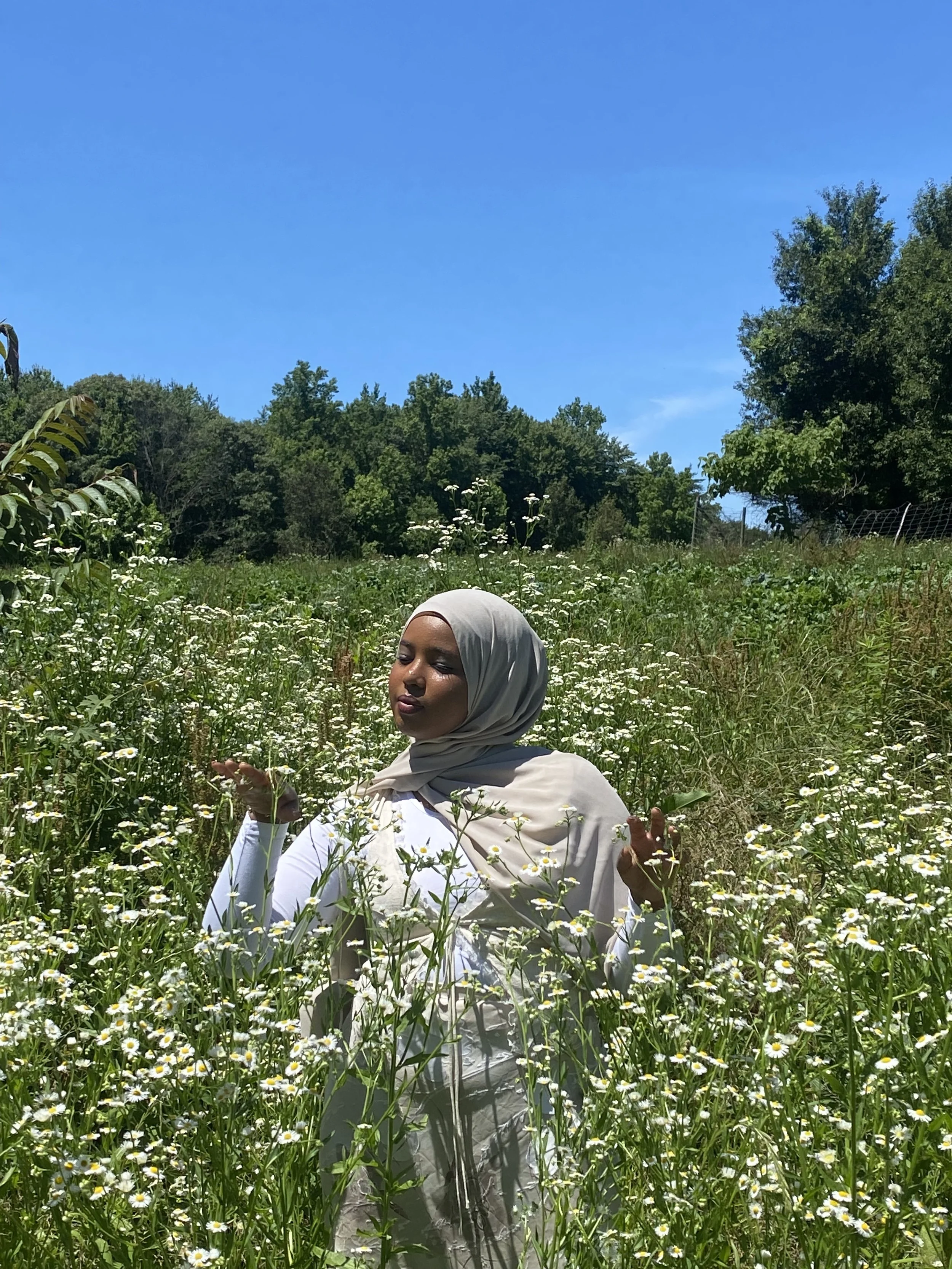 A woman wearing a hijab and white clothing meditating in a field of white daisies under a bright blue sky, surrounded by green trees.