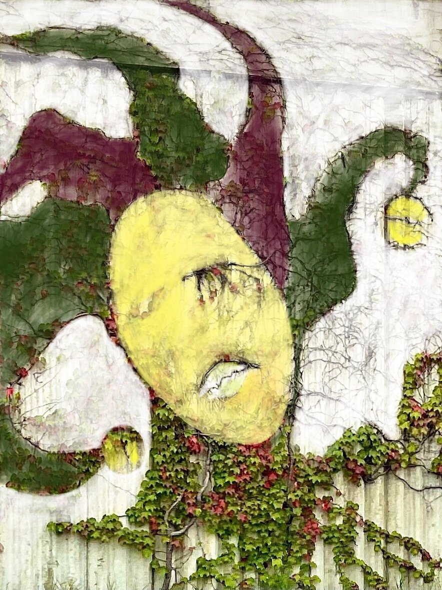 IMG_4808.jpg