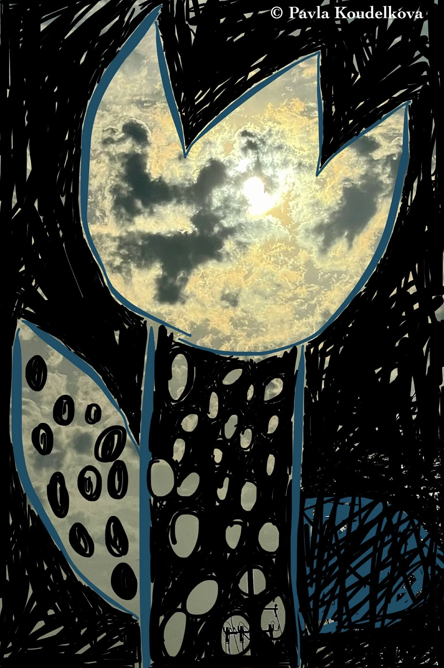 54