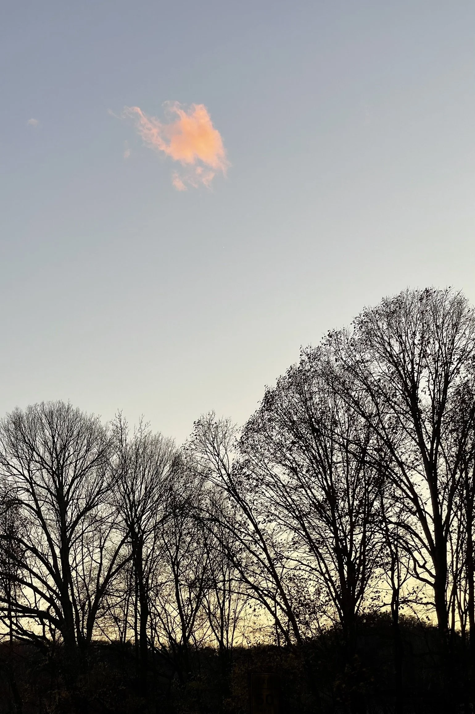 10:IMG_1829.jpg