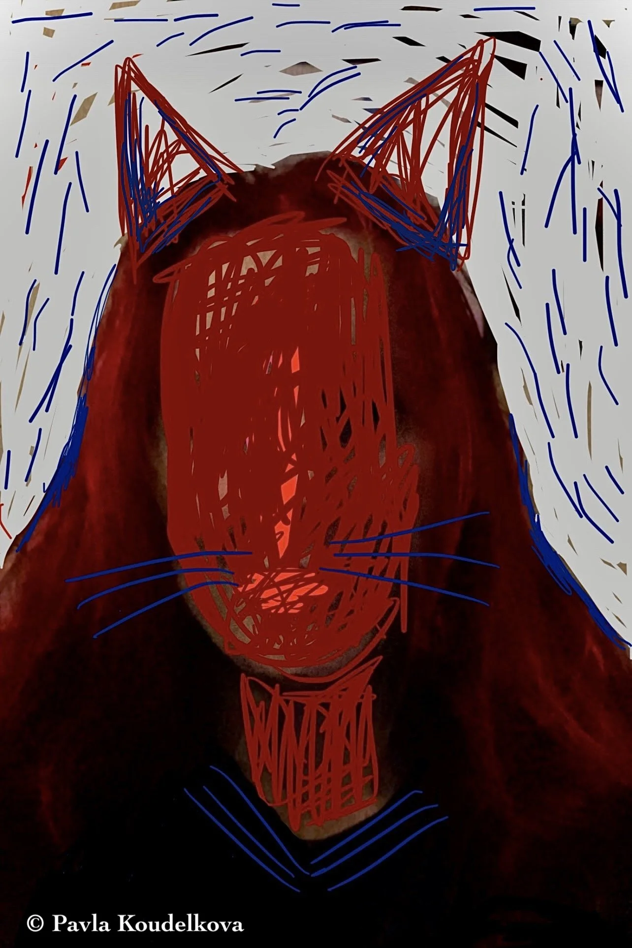244