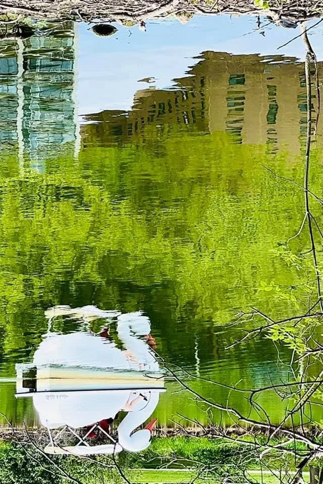 24:193150299_1218026461981722_6431431850724993153_n.jpg